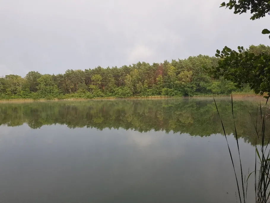 Heidereutersee angeln