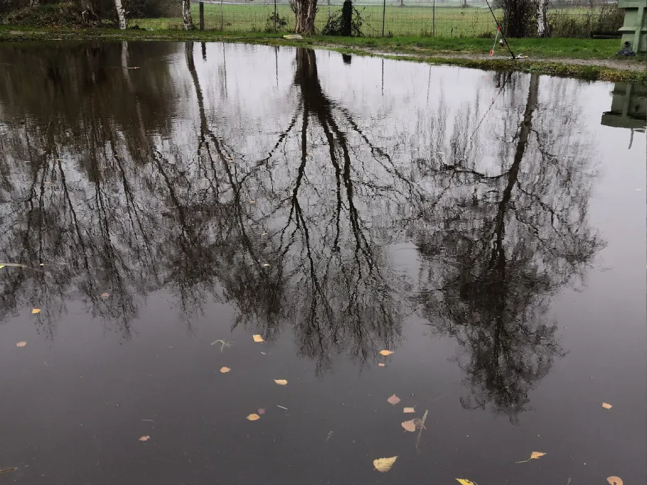 Angelteiche Dinker angeln