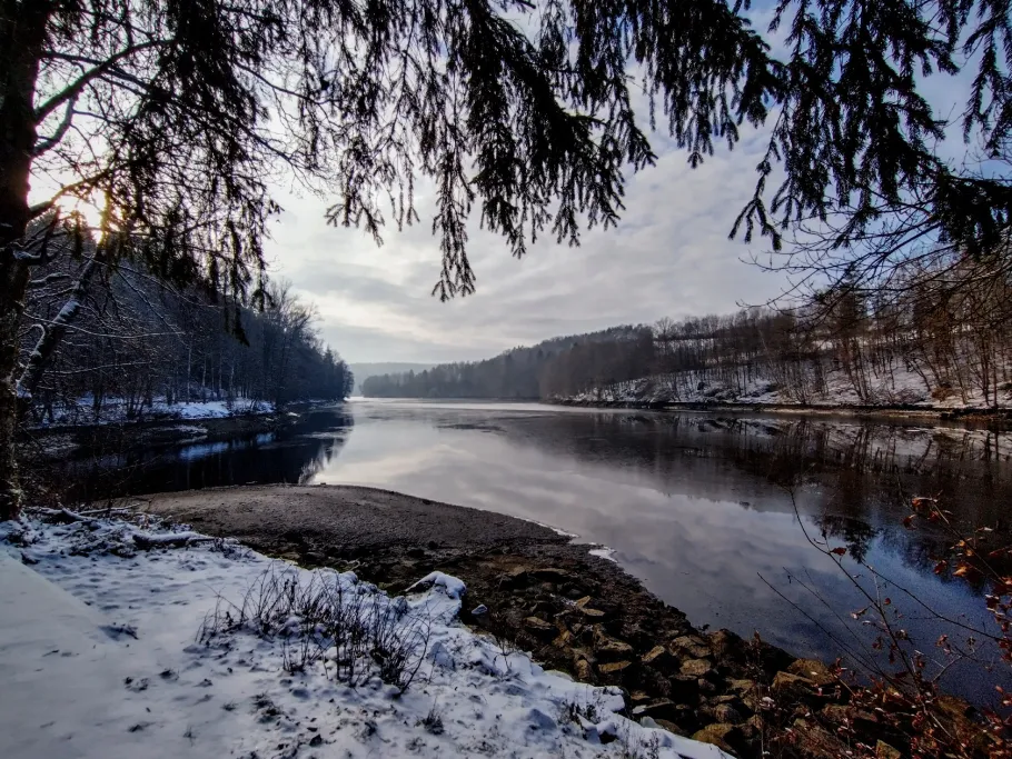Pfreimdstausee Trausnitz angeln