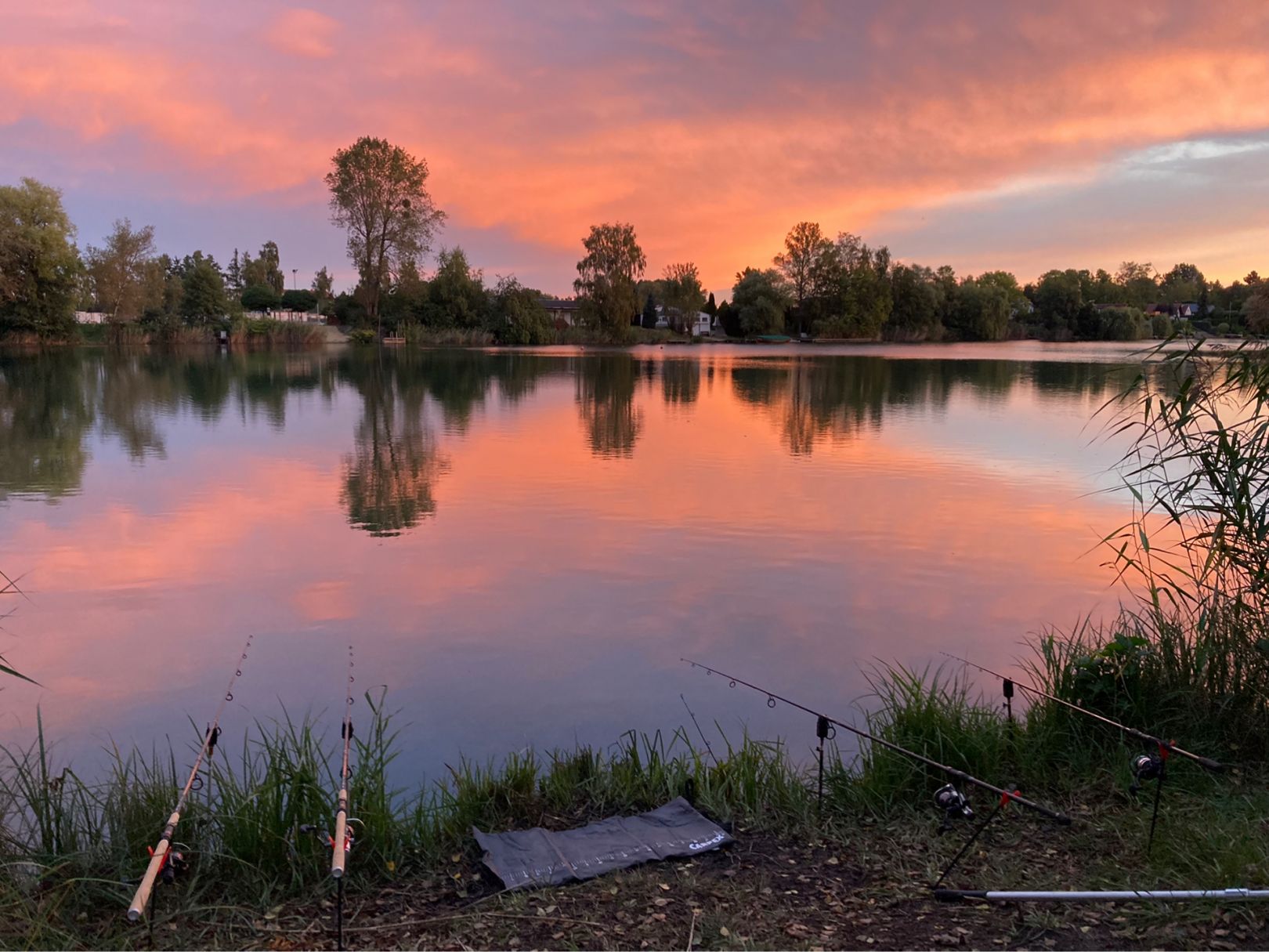 Hainbergsee (Meuselwitz) angeln