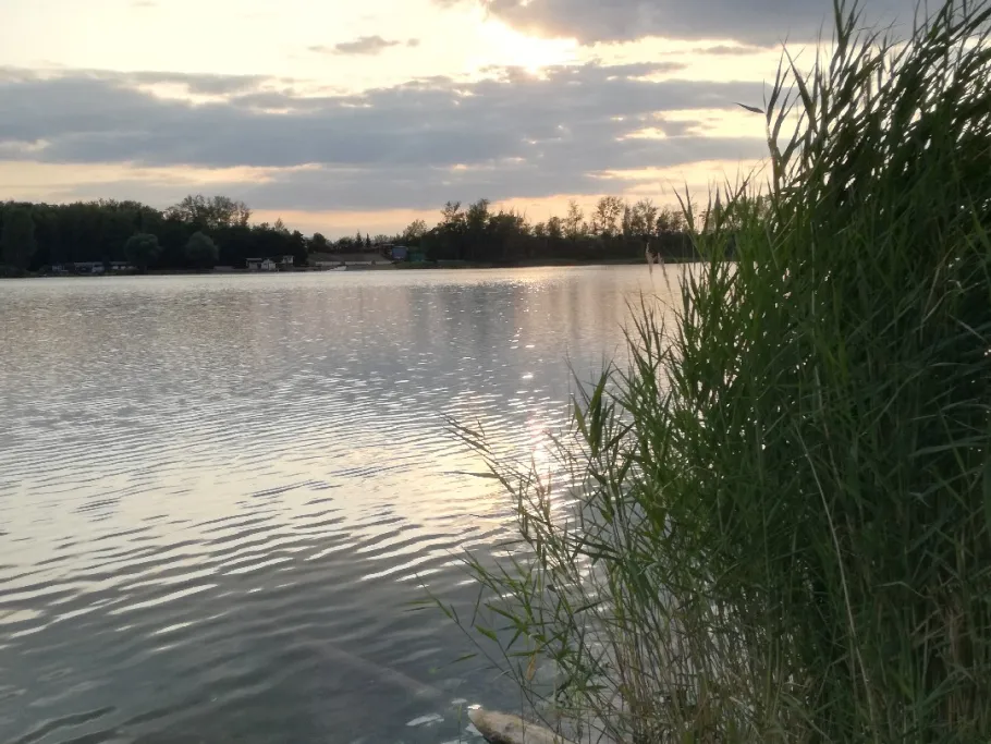 Hufeisensee (Halle) angeln