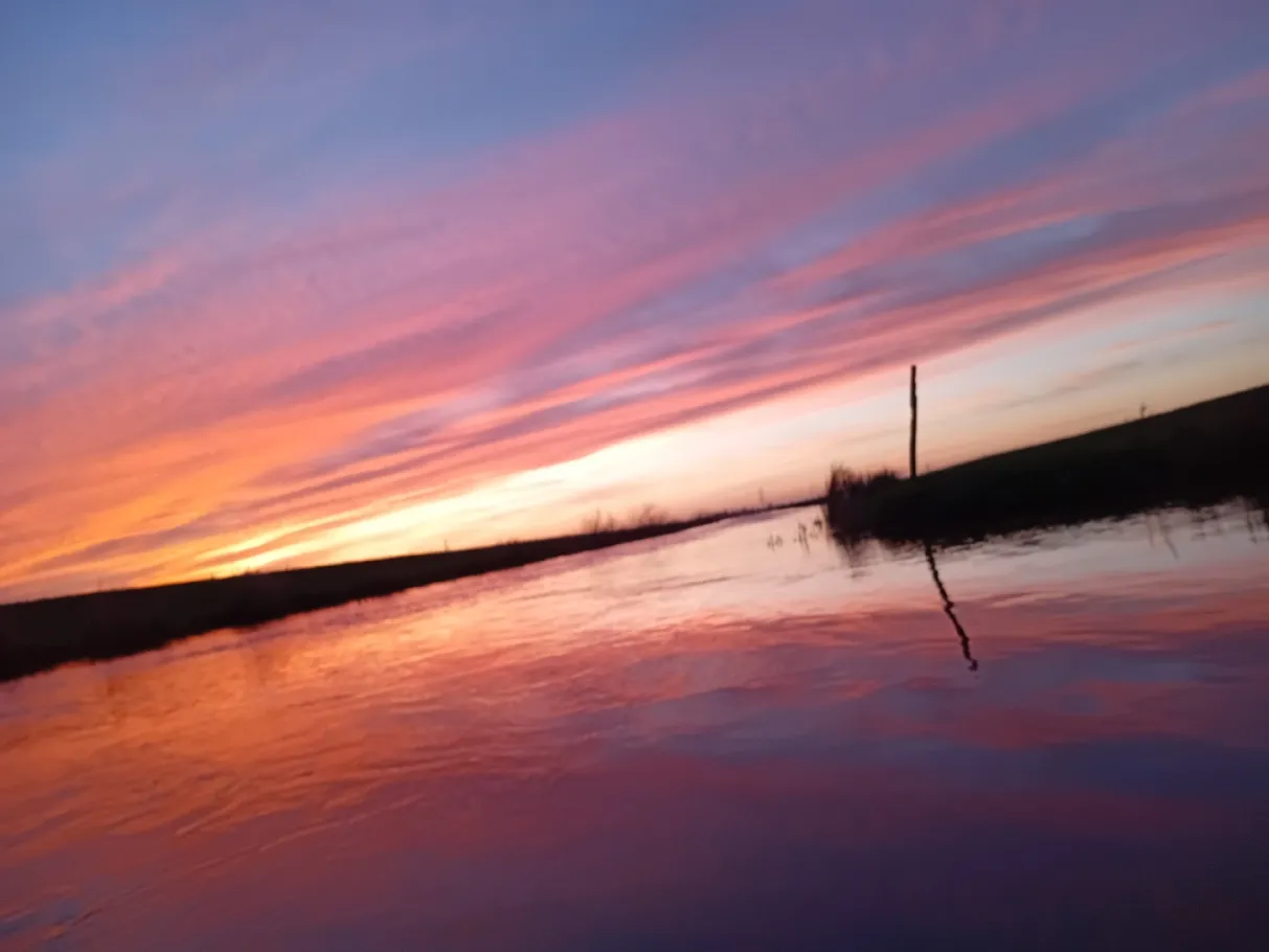 Soholmer-Au-Kanal (Soholm) angeln