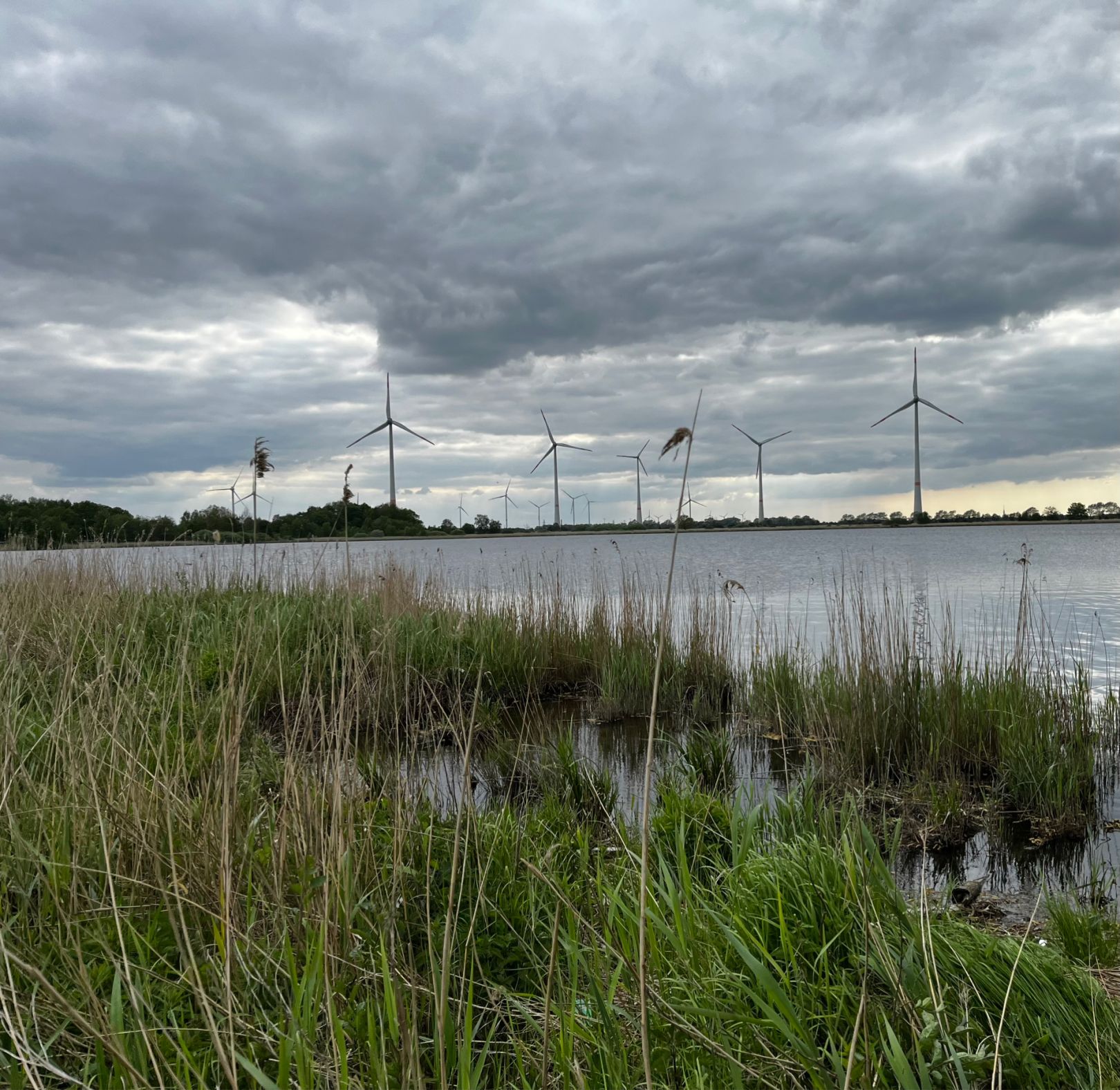 Bansmeer angeln