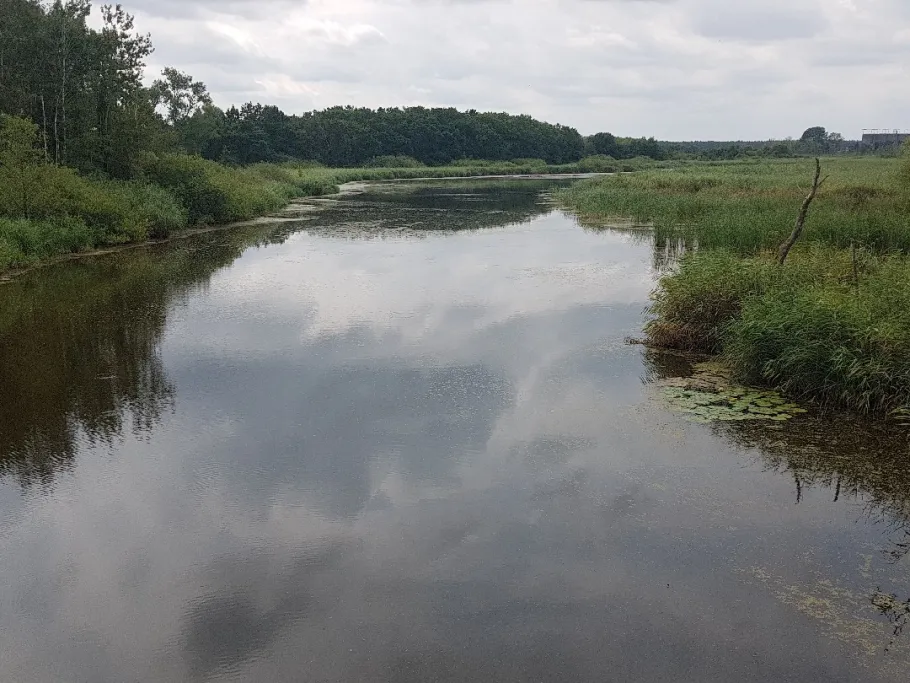 Untere Barthe (Barth) angeln