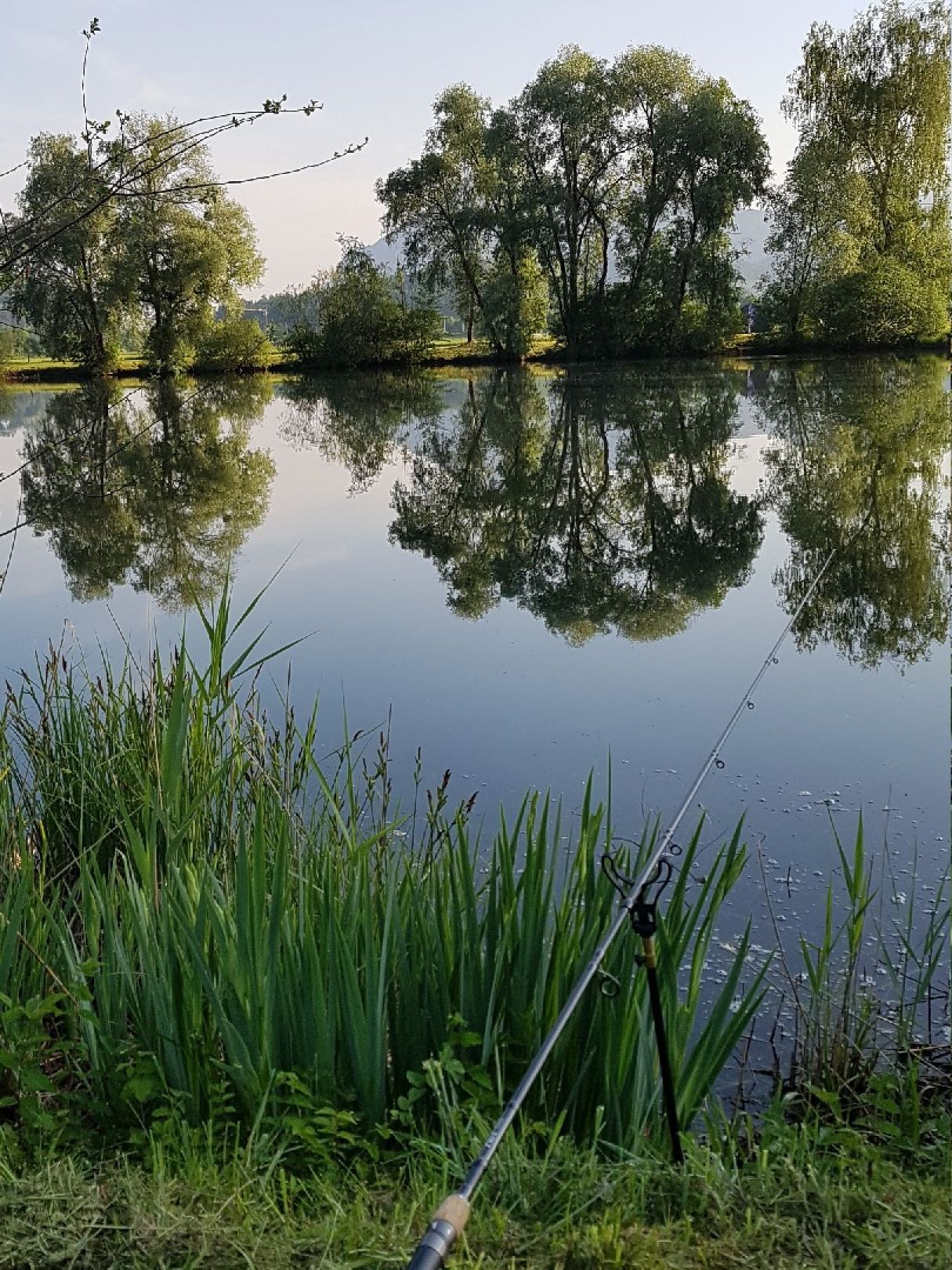 Kreuthsee (Kiefersfelden) angeln