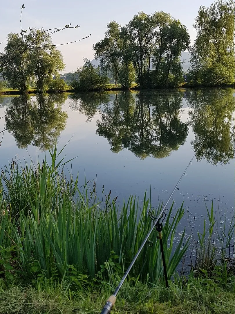 Kreuthsee (Kiefersfelden) angeln