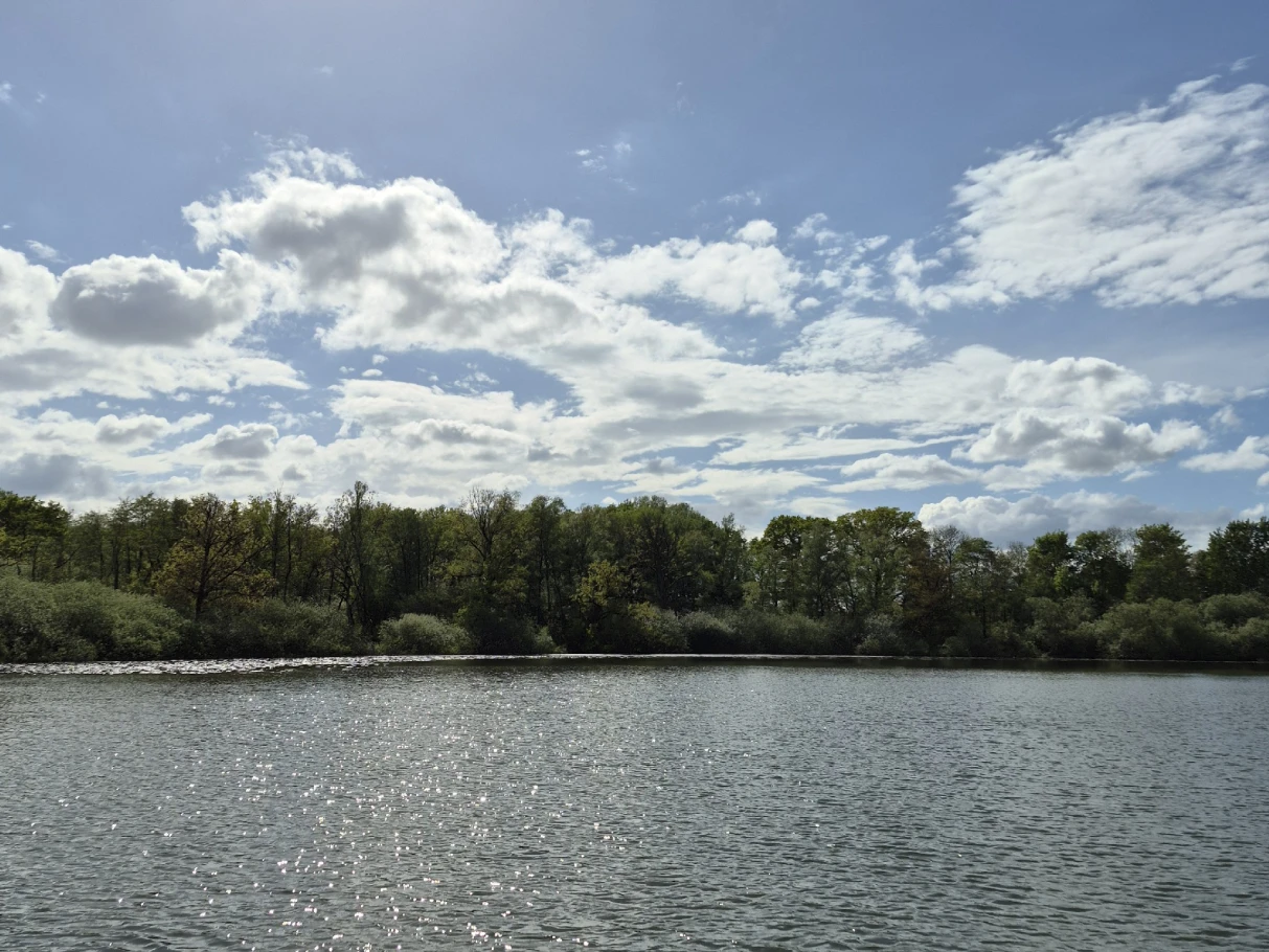 Poggensee (Bad Oldesloe) angeln