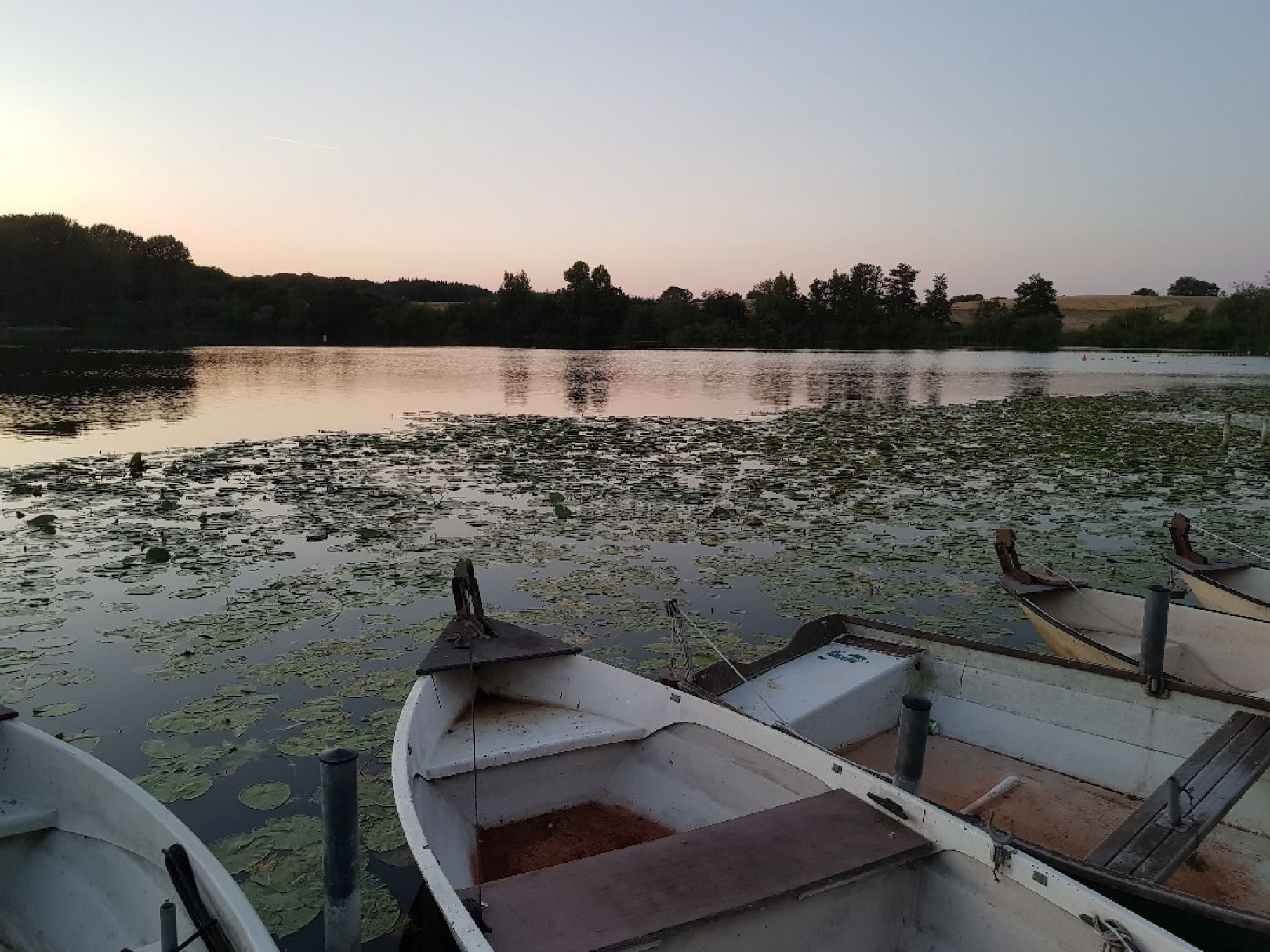 Poggensee (Bad Oldesloe) angeln