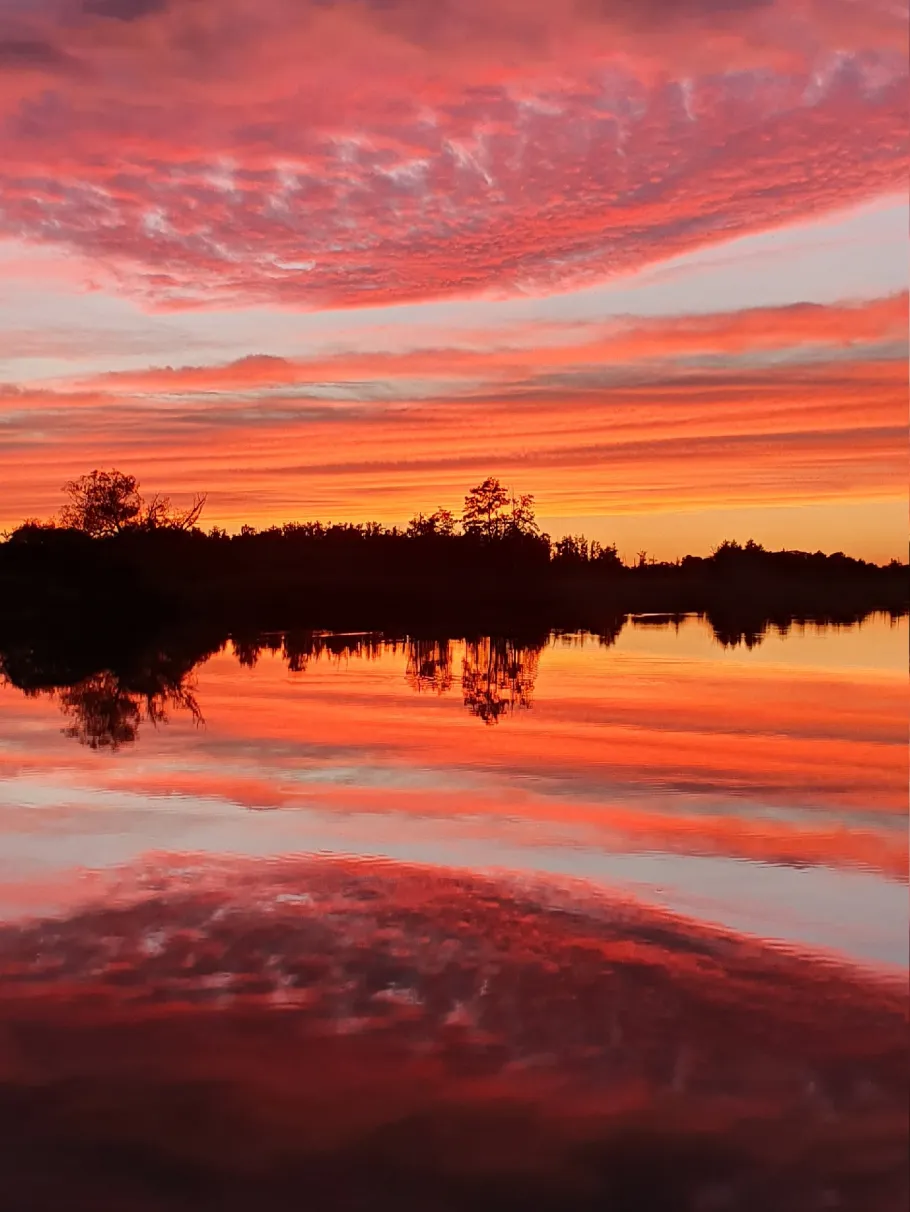 Peene (Loitz) angeln