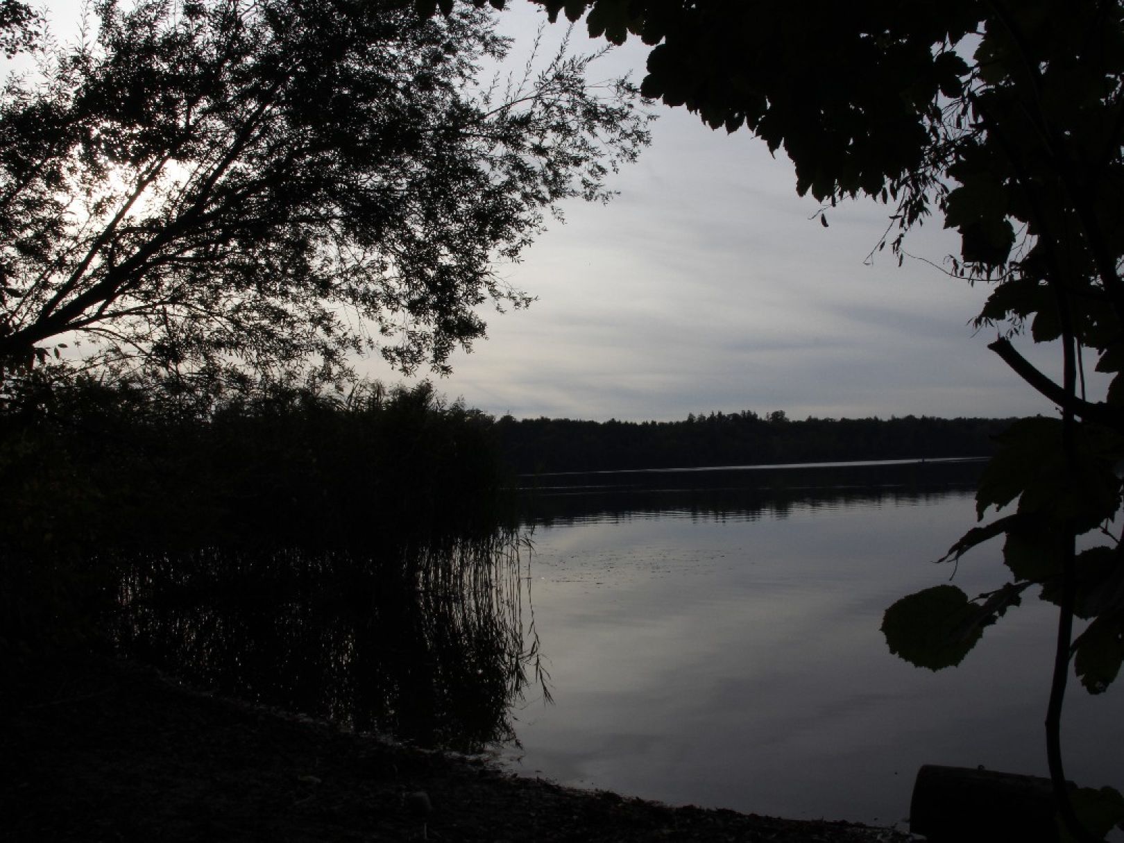 Abtsdorfer See angeln