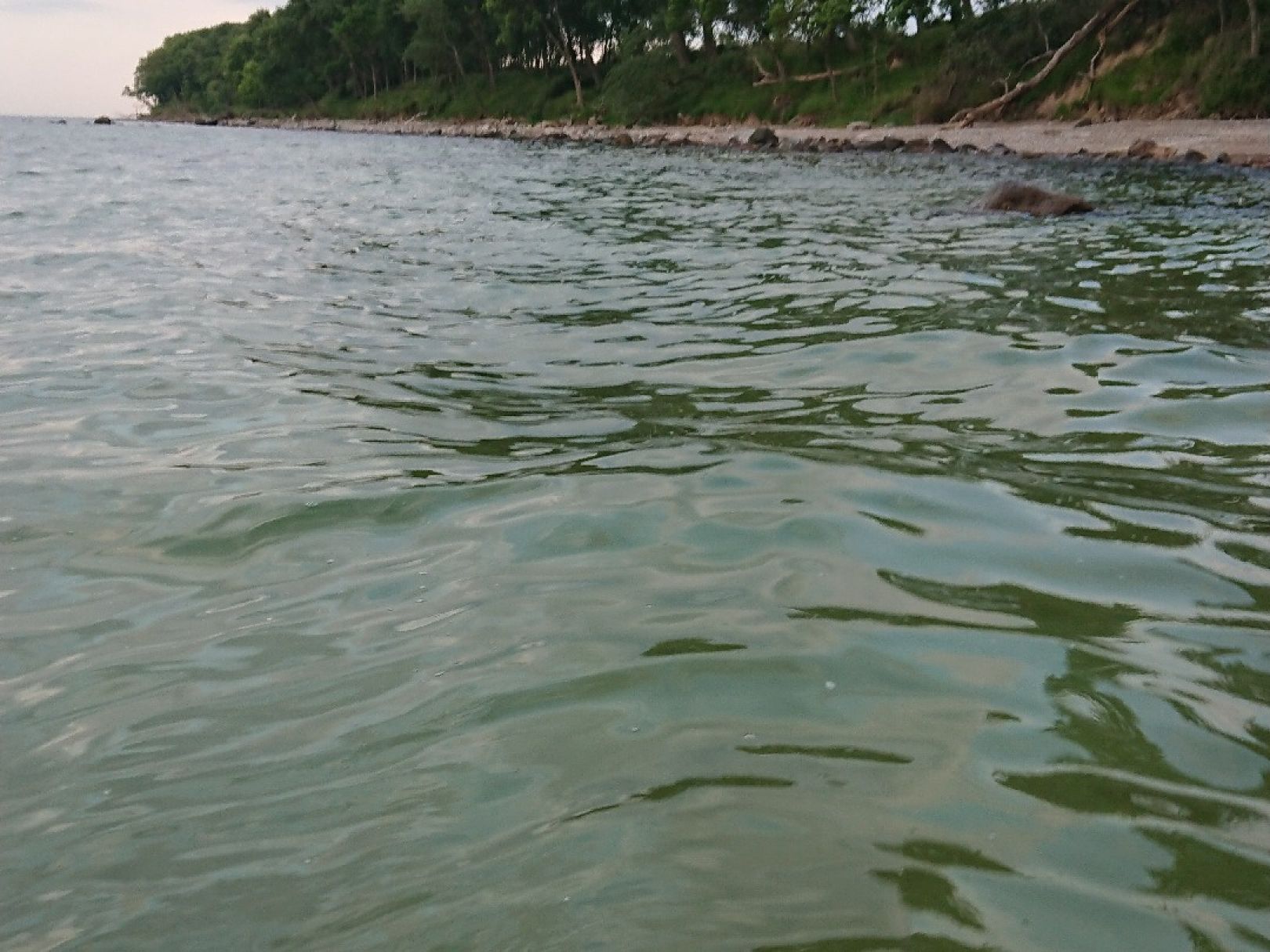 Ostsee (Fehmarn-Katharinenhof) angeln