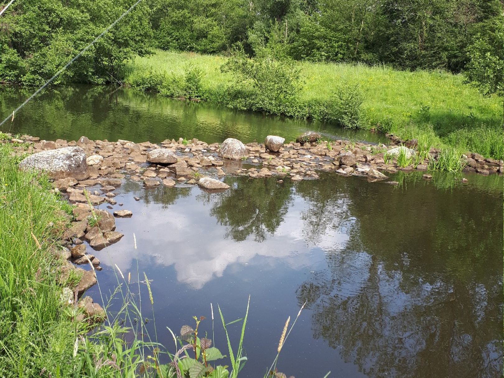 Ablasskanal Tungeln angeln