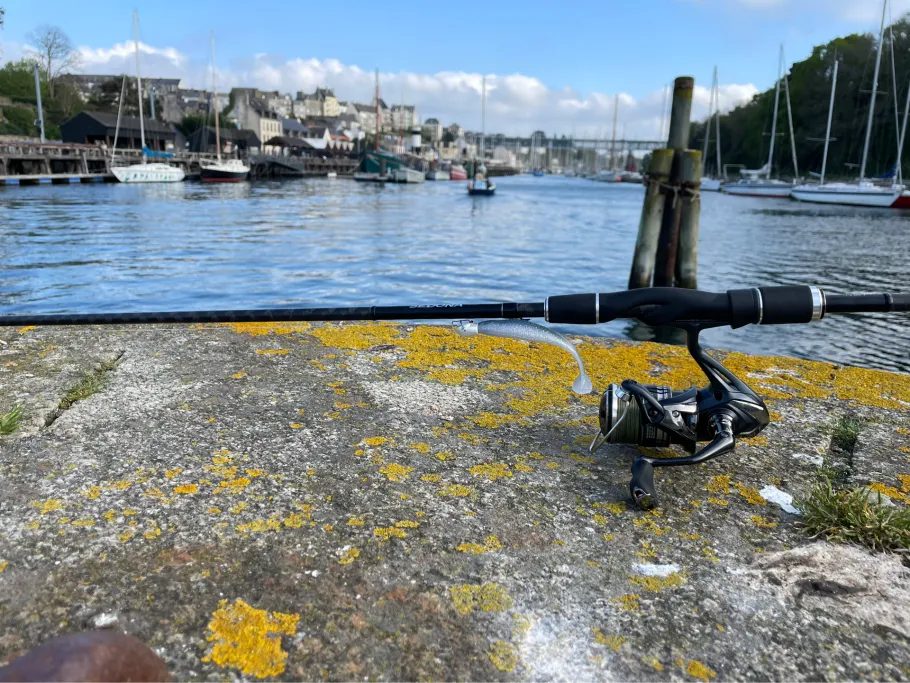 Baie de Douarnenez angeln