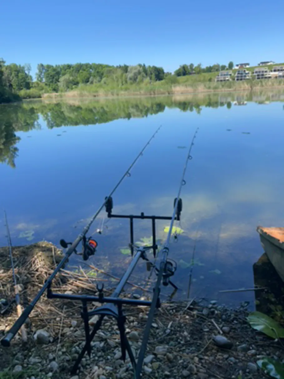 Röhmsee (Baltringen) angeln