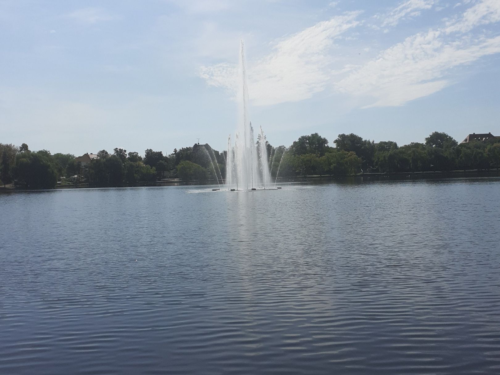 Vorderer Gotthardteich (Merseburg) angeln