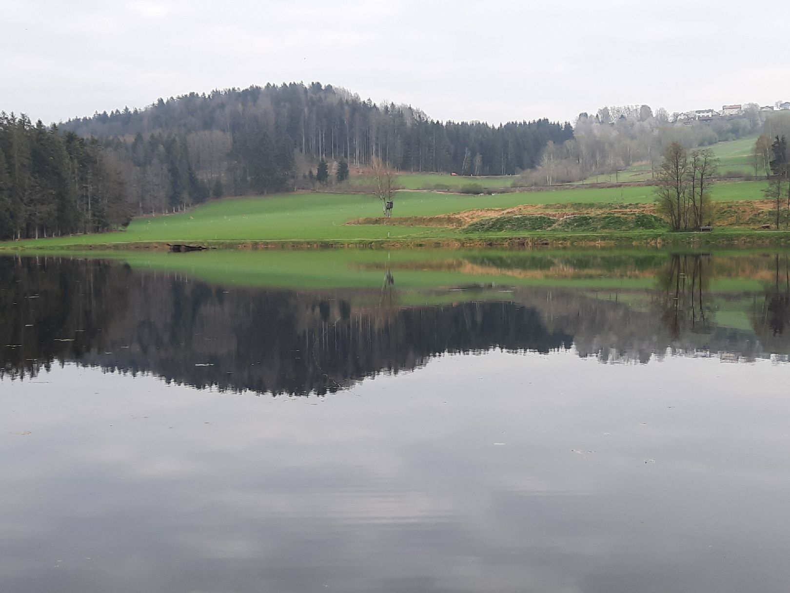 Stausee Großarmschlag angeln