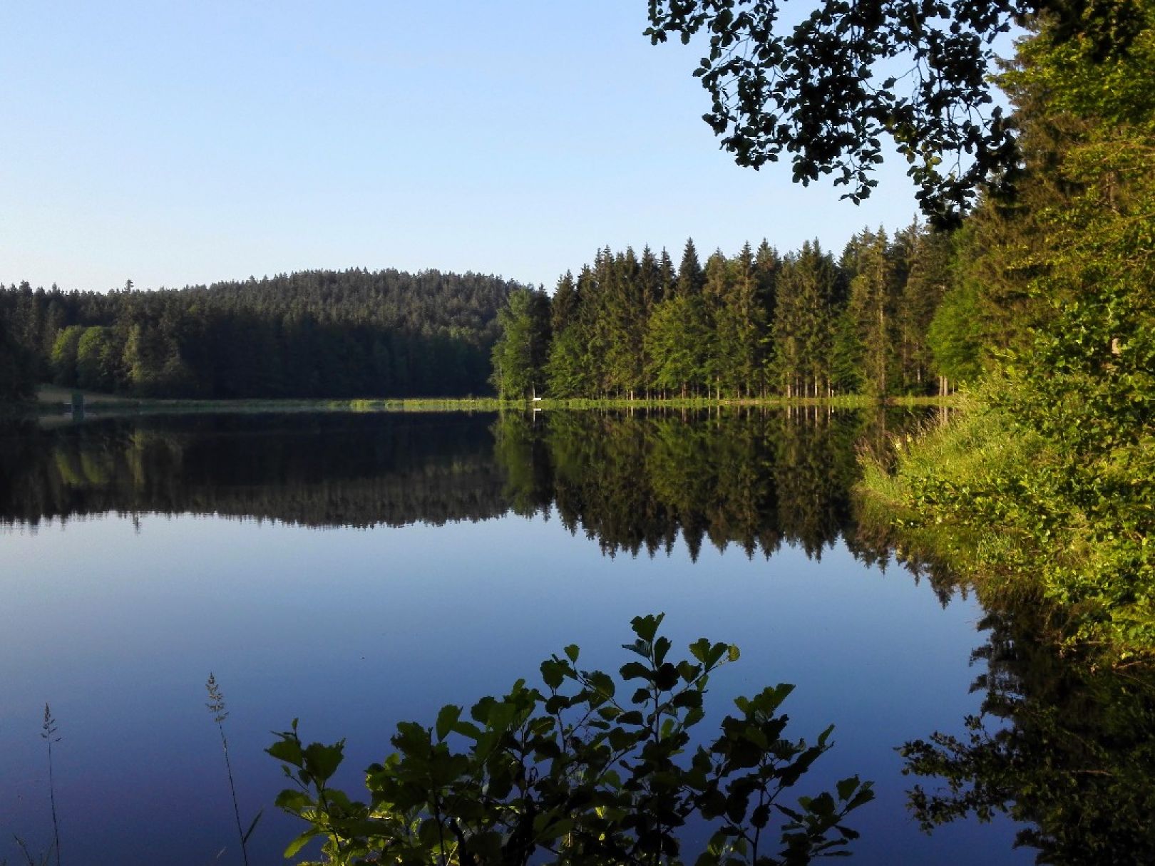Stausee Großarmschlag angeln