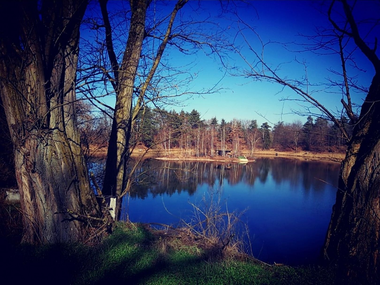 Vereinssee am Dreizehnmorgenweg angeln