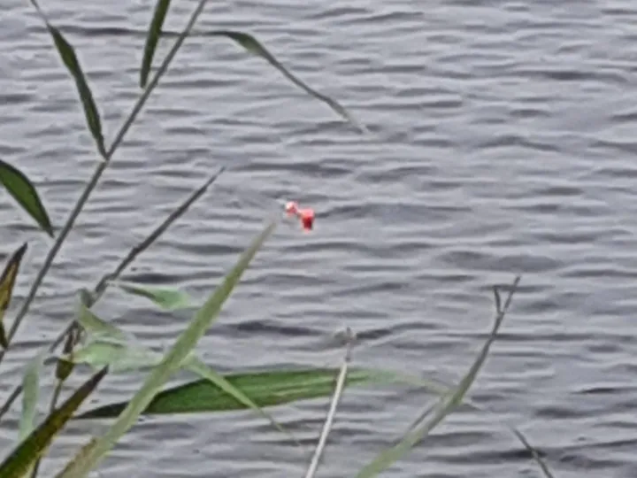 Vorhaltebecken Oldersum angeln