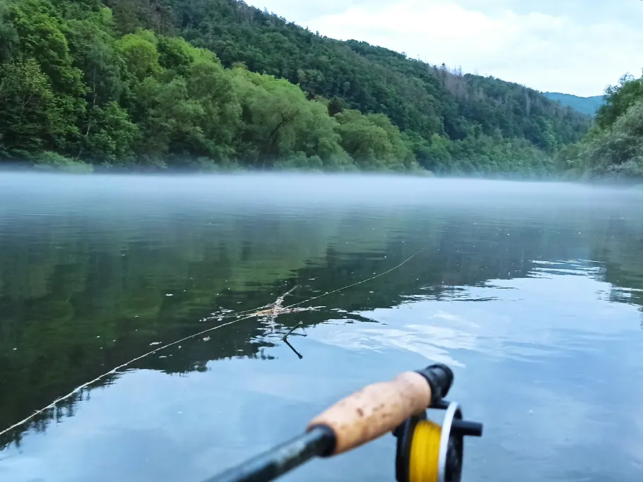 Eder (Bad Wildungen) angeln