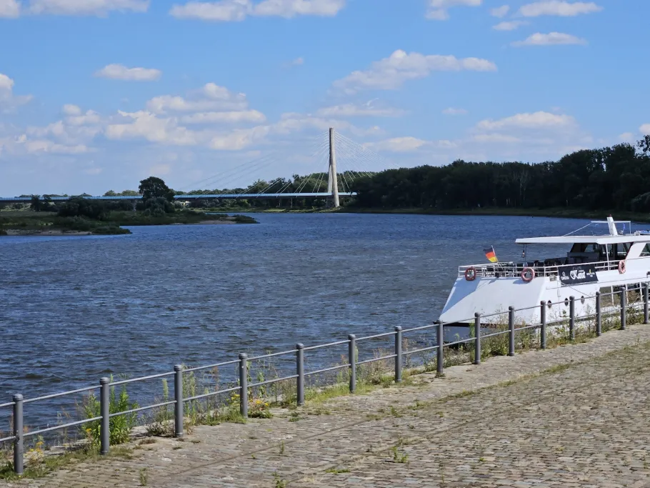 Elbe (Schönebeck) angeln