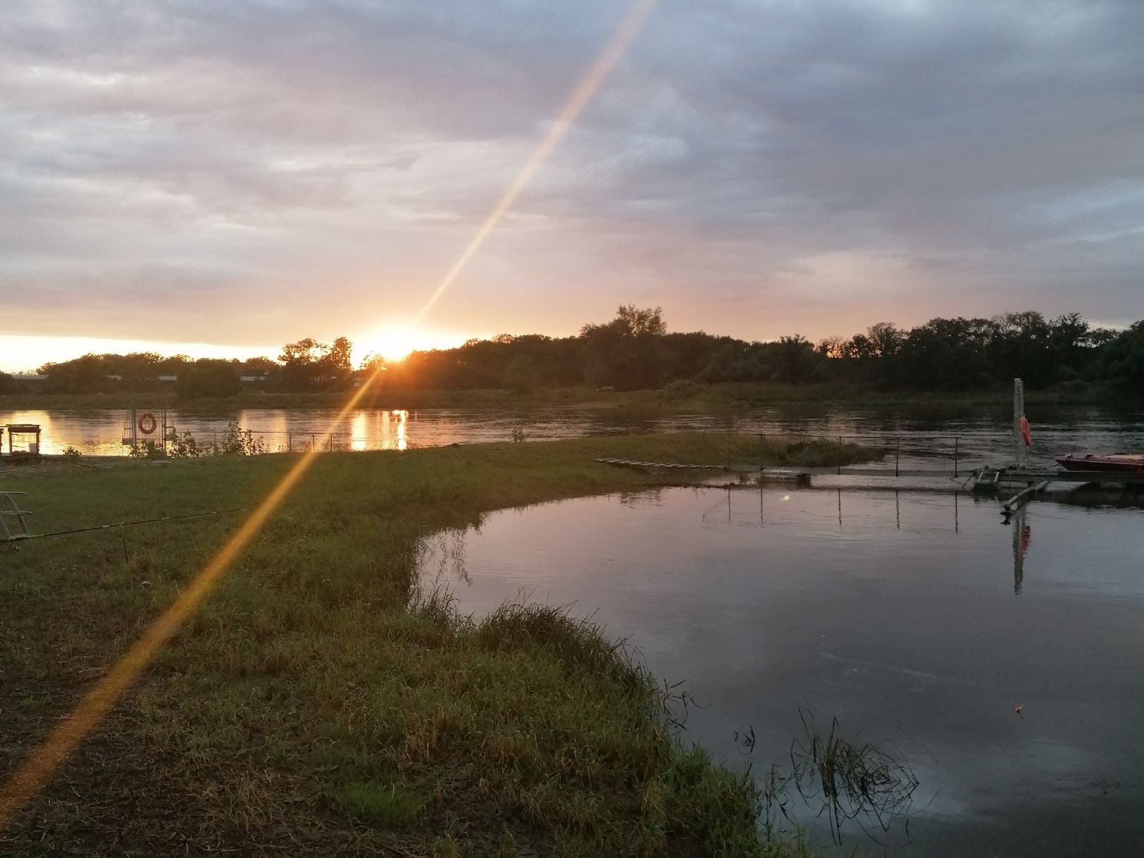 Elbe (Schönebeck) angeln