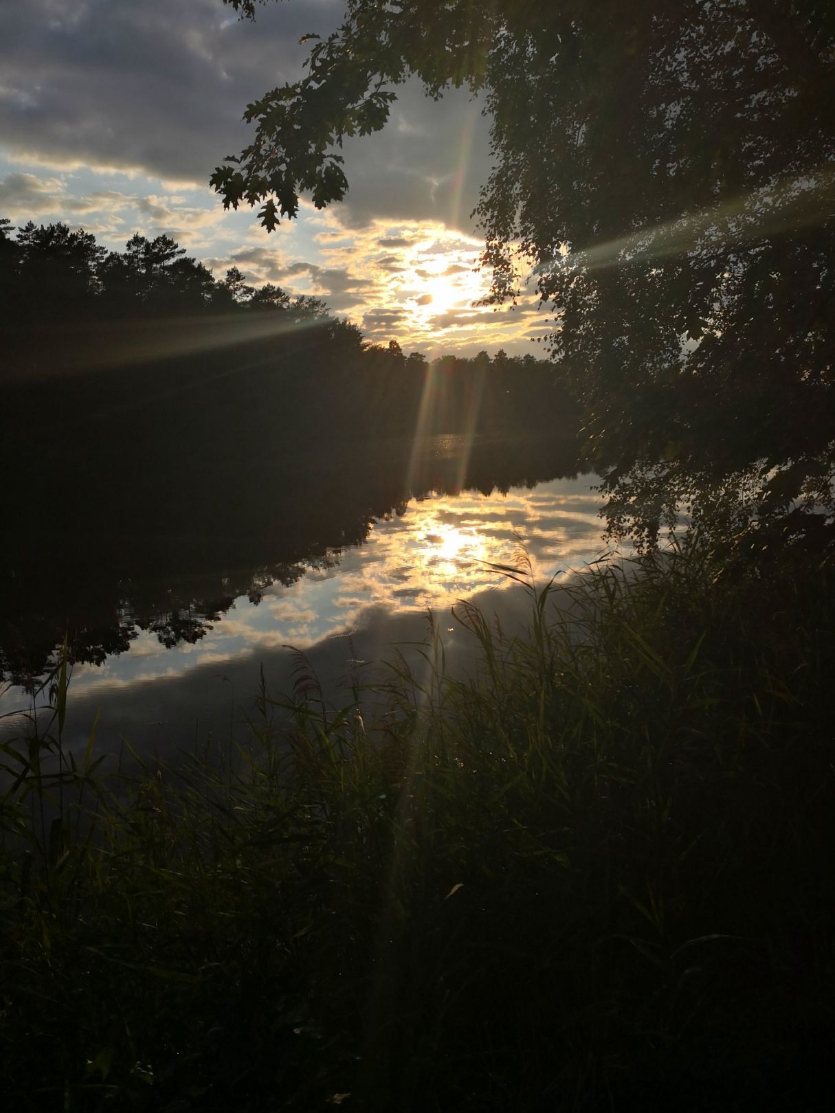 Waldsee Weißwasser angeln