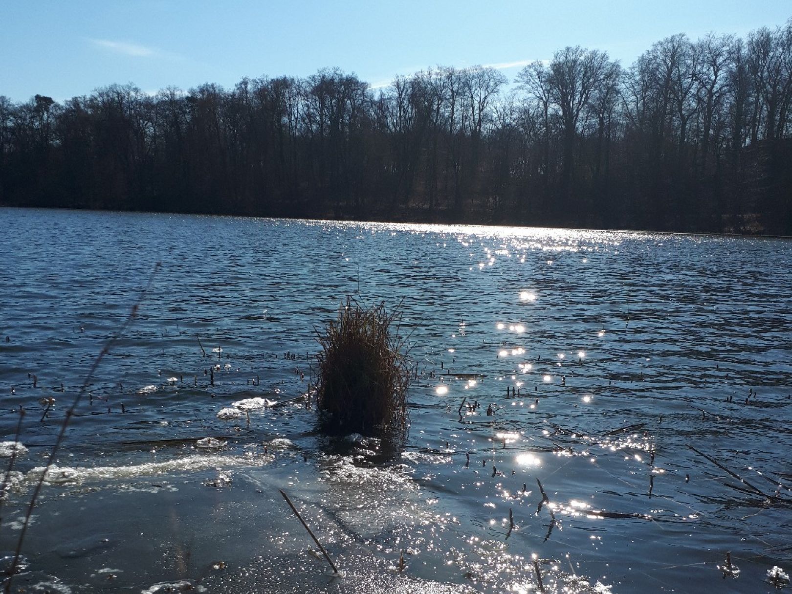 Mittelsee (Weisdin) angeln