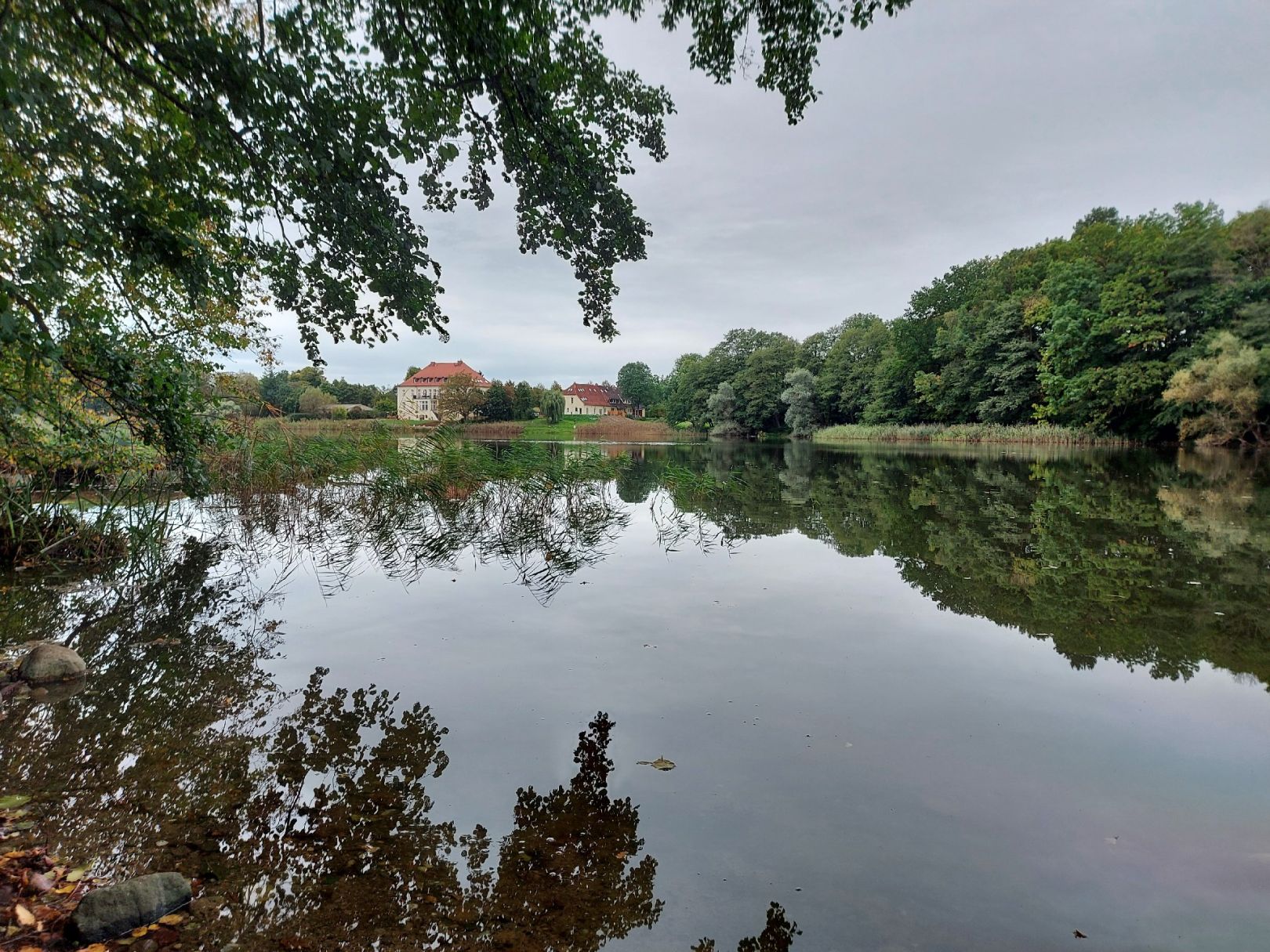 Mittelsee (Weisdin) angeln