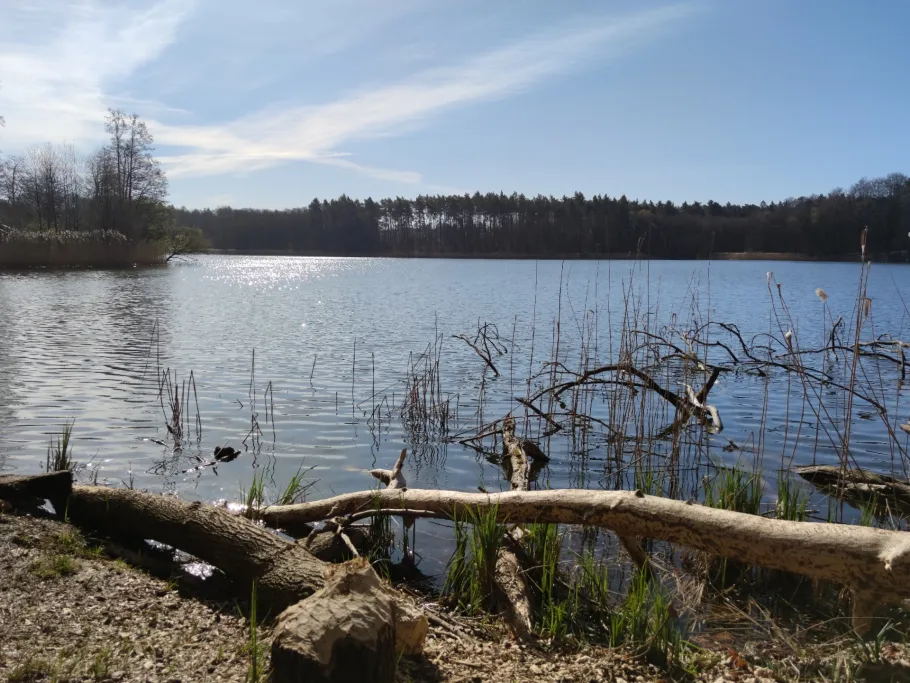 Hellsee (Lanke) angeln