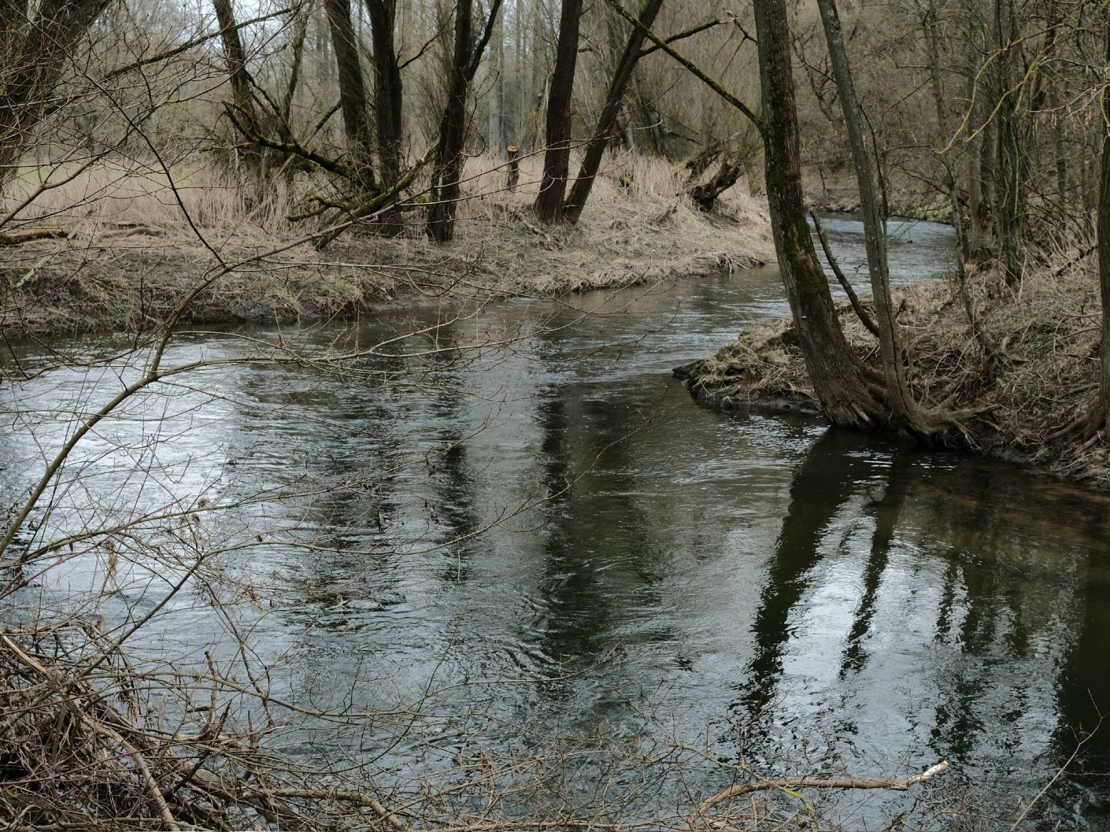 Weißer Main (Kulmbach) angeln