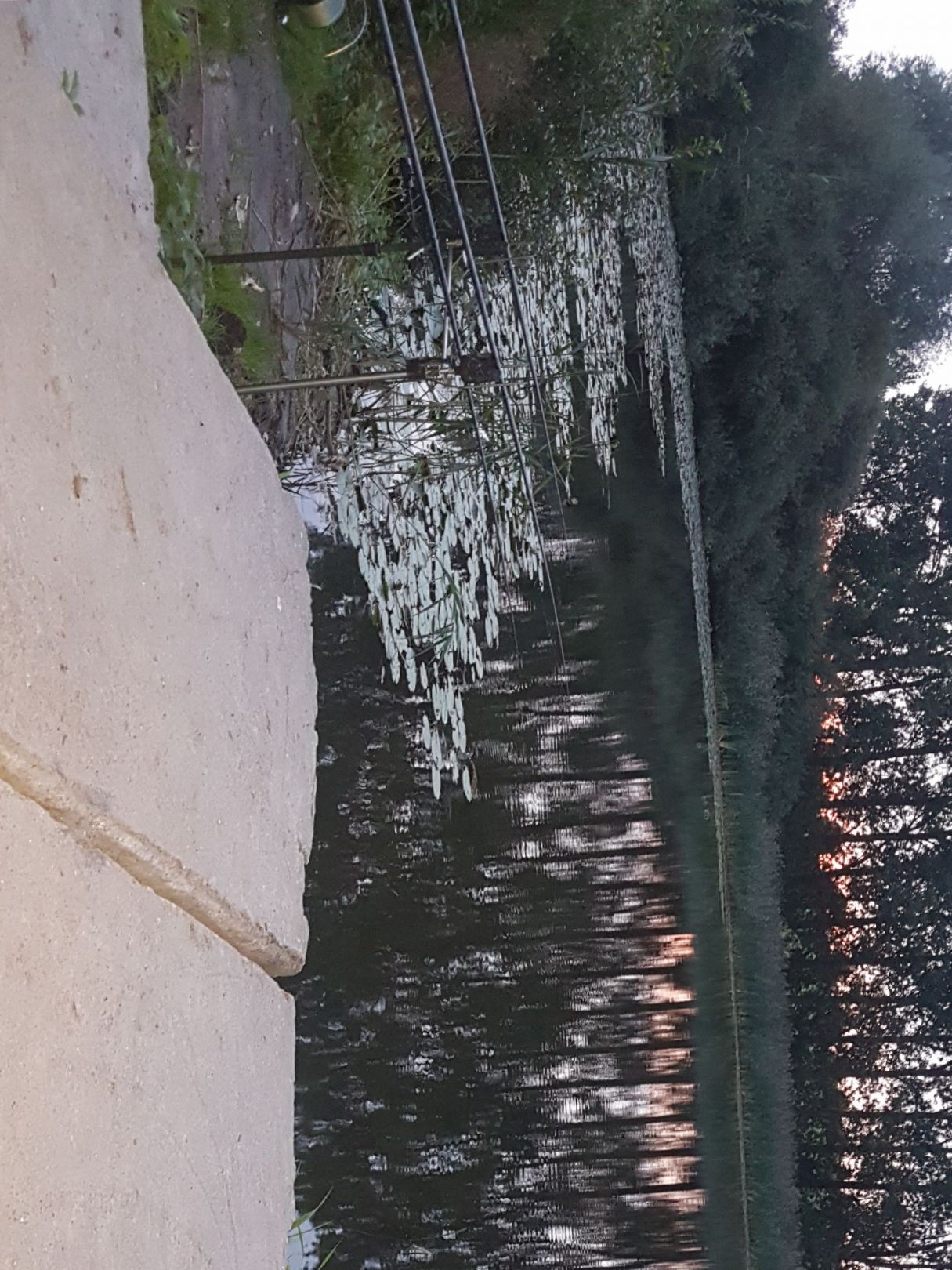 Priestersee (Gägelow) angeln