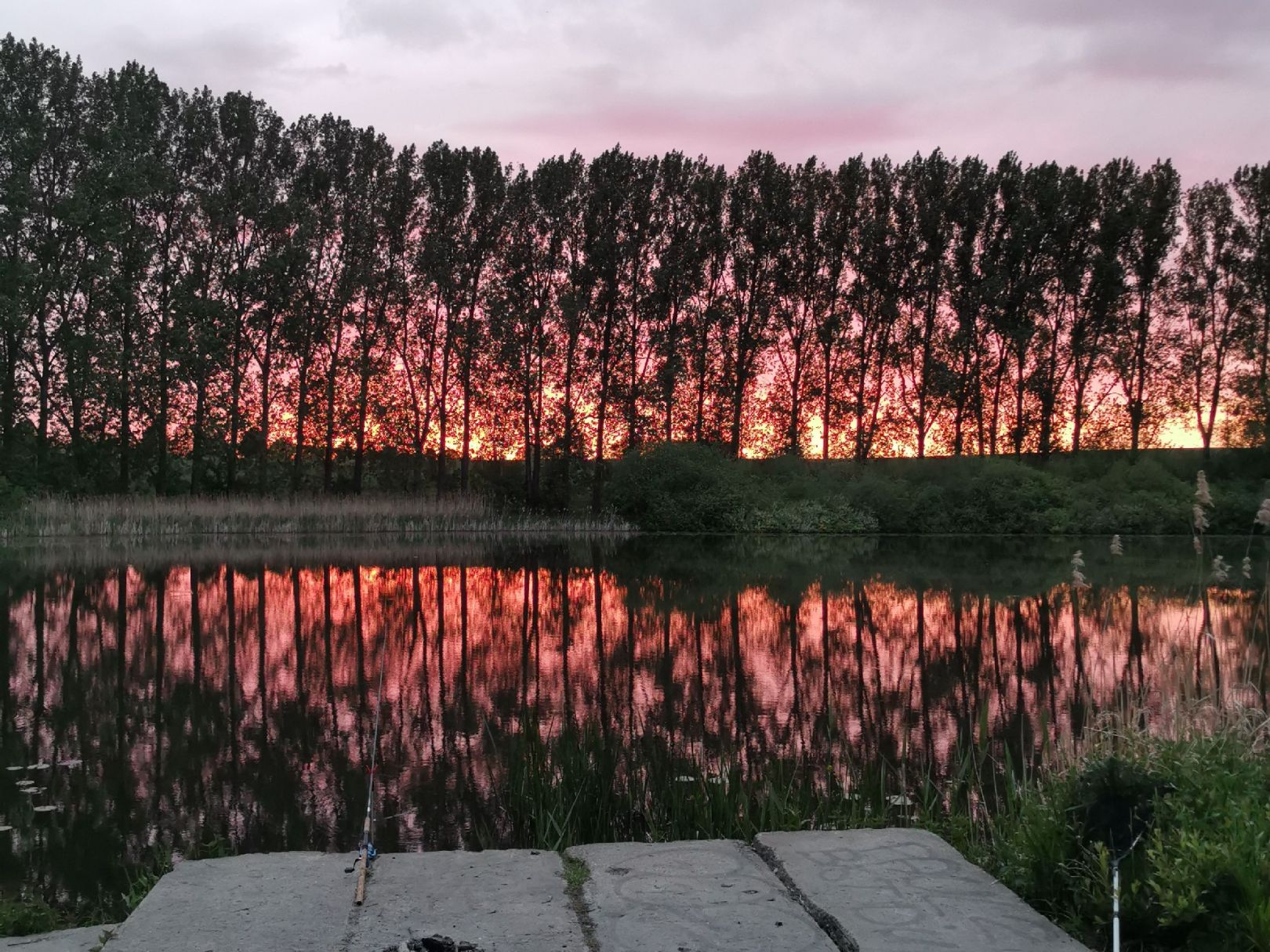 Priestersee (Gägelow) angeln