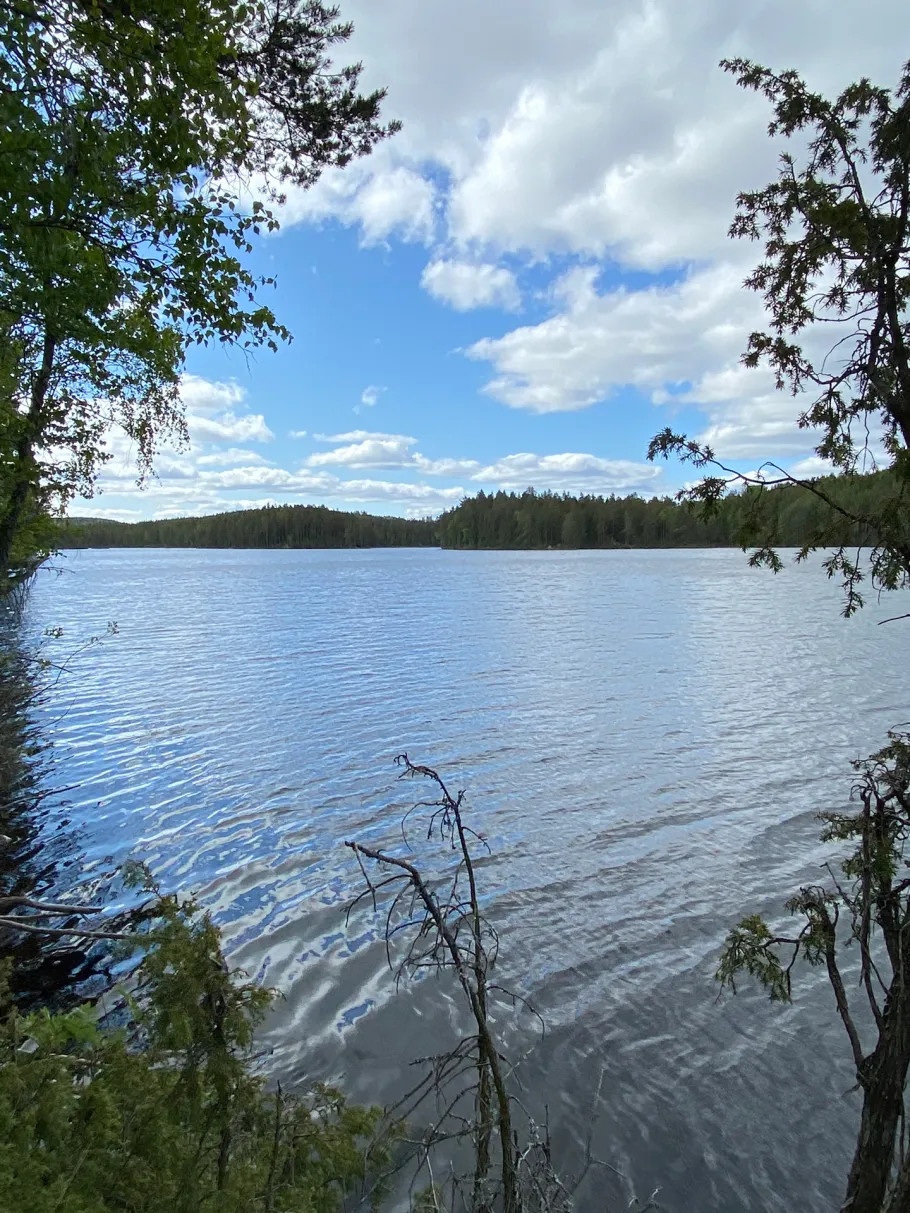 Dammsjön Put and Take fiske (Nyhyttan) angeln