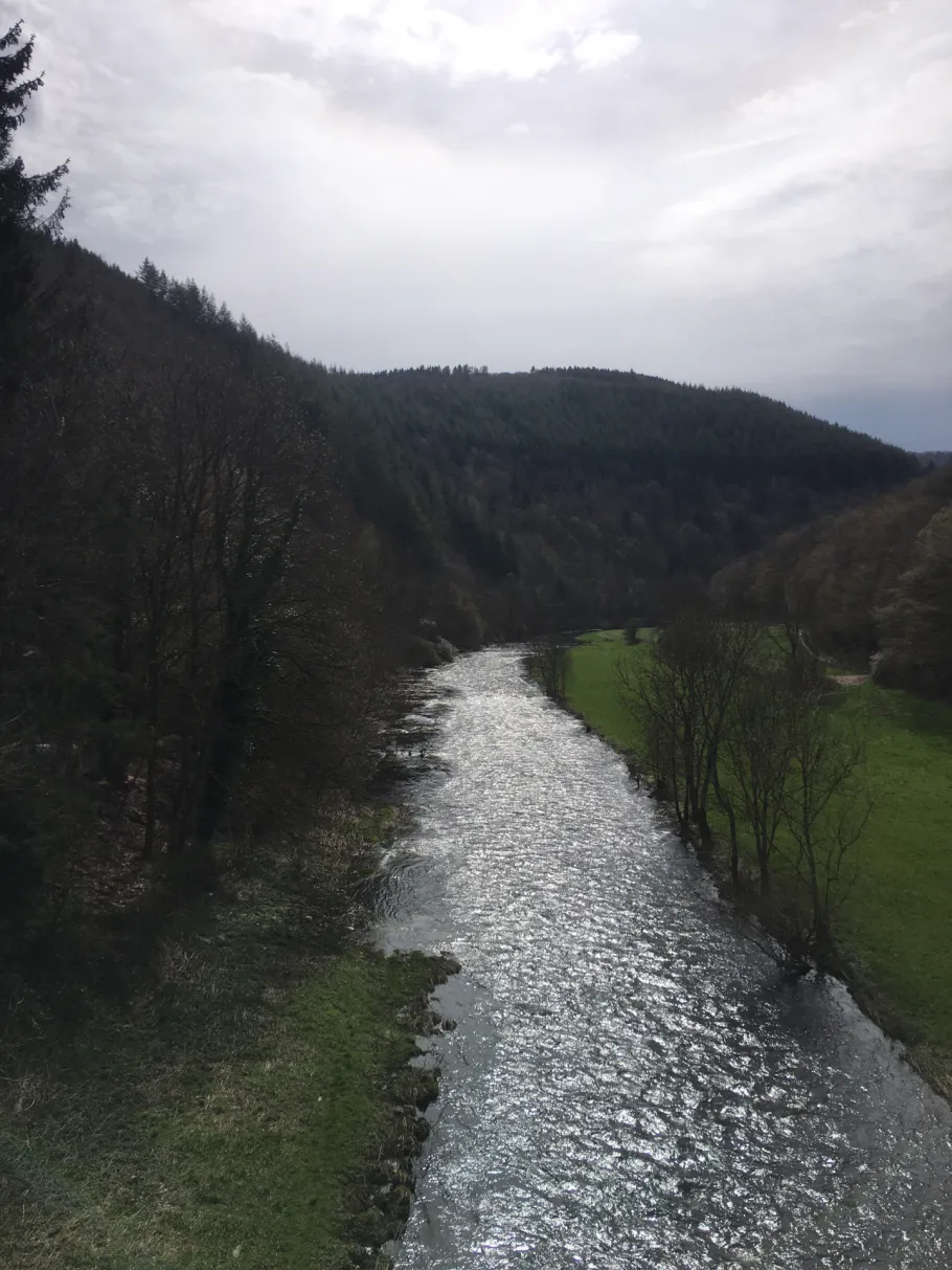 Sauer (Goesdorf) angeln