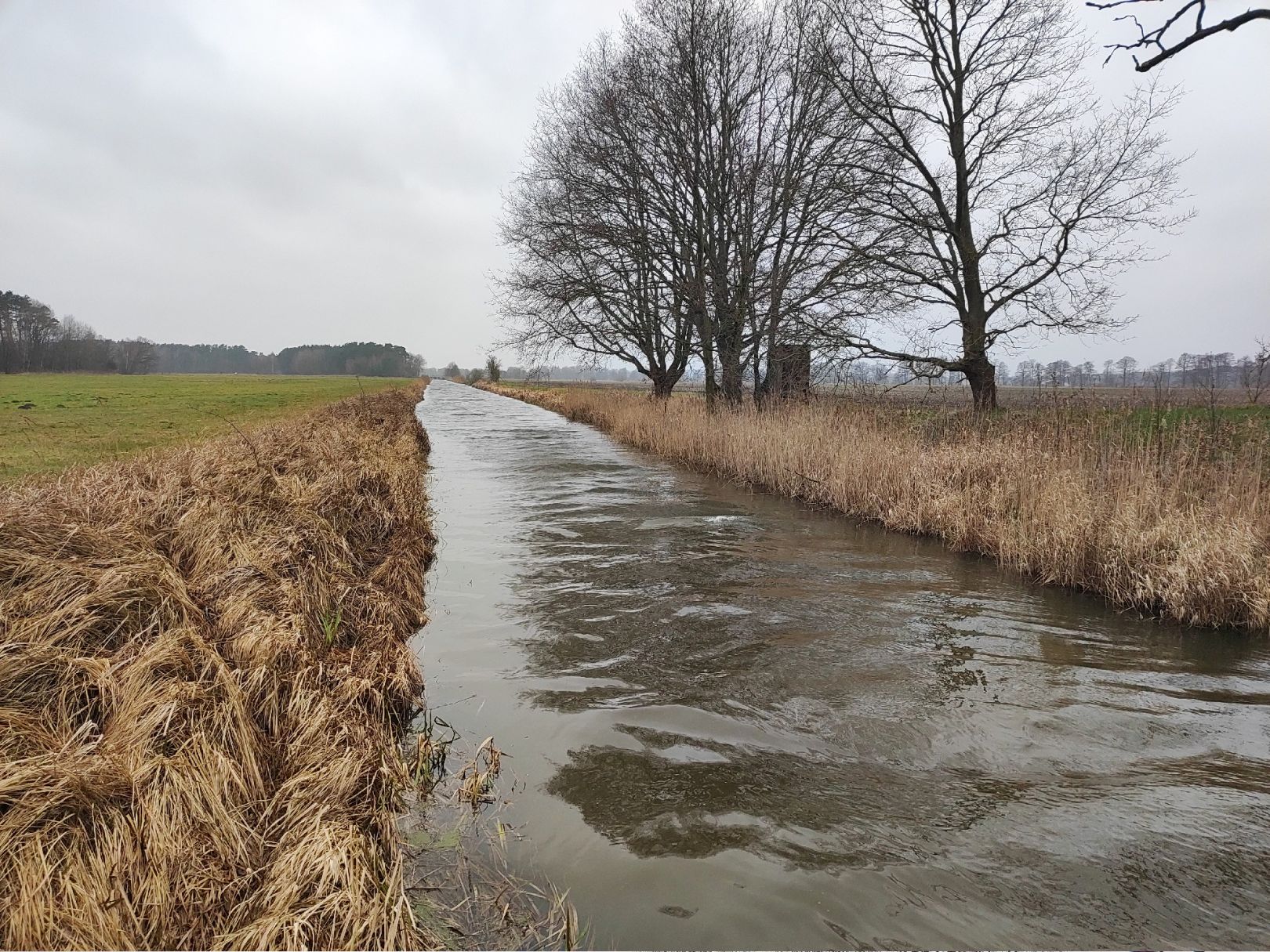 Angeln in Bresegard bei Picher