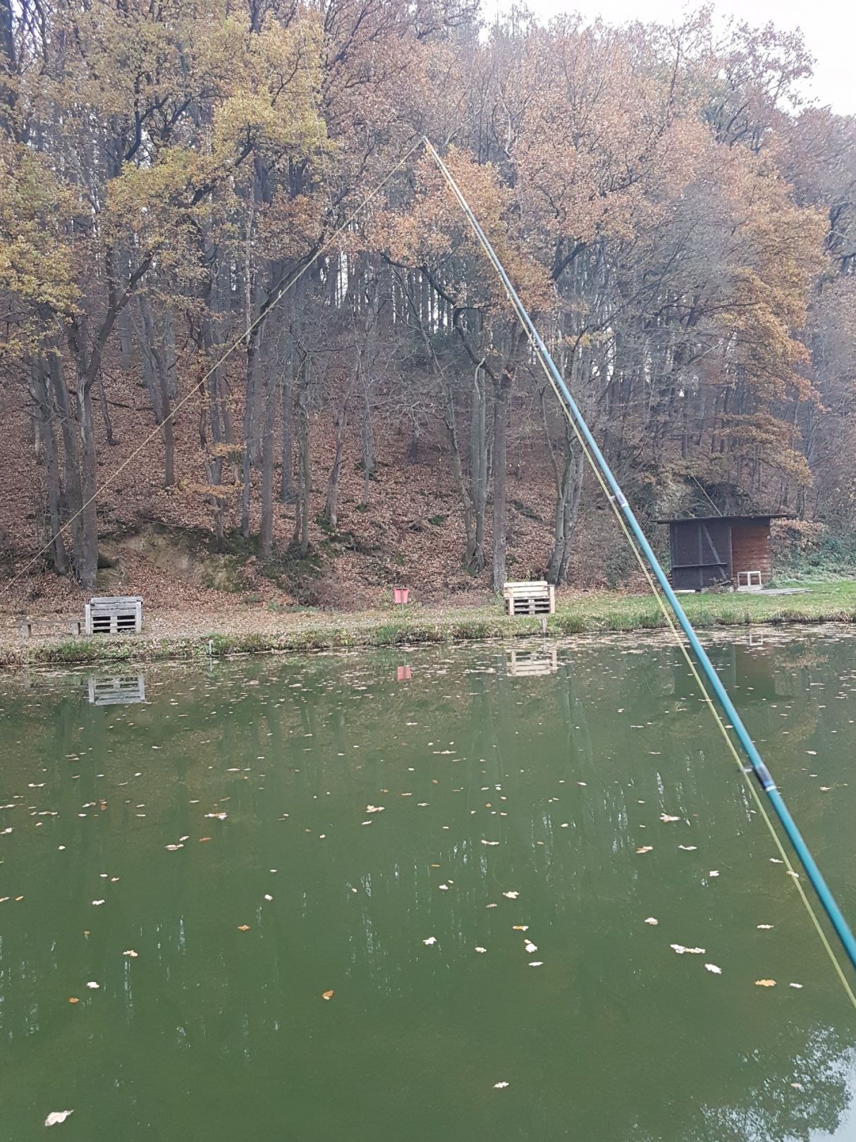 Angeln in Hirz-Maulsbach