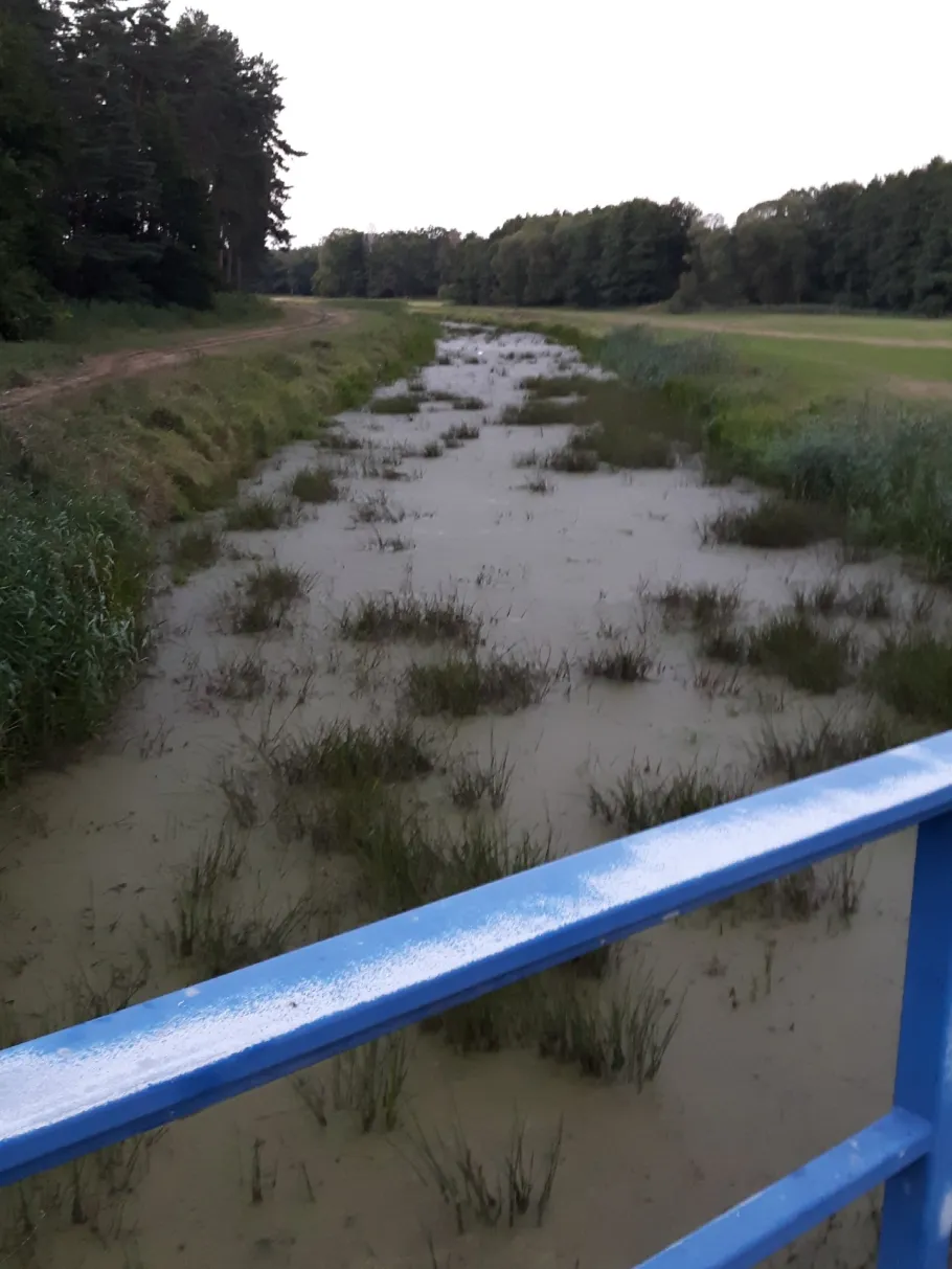 Zarow (Ferdinandshof) angeln