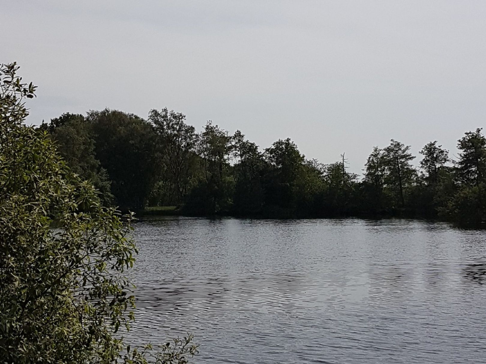 Goldmoor (Löwenstedt) angeln