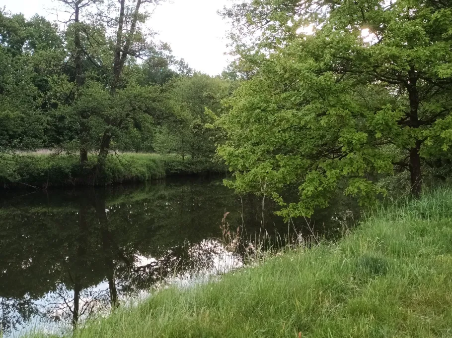 Roter Main (Neudrossenfeld) angeln