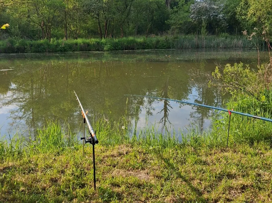 Hellwiesenteich Altenburg angeln
