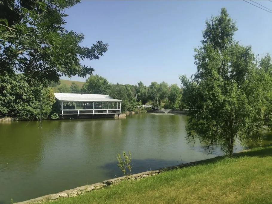 Fisher Club Salcâmilor (Grebleşti) angeln