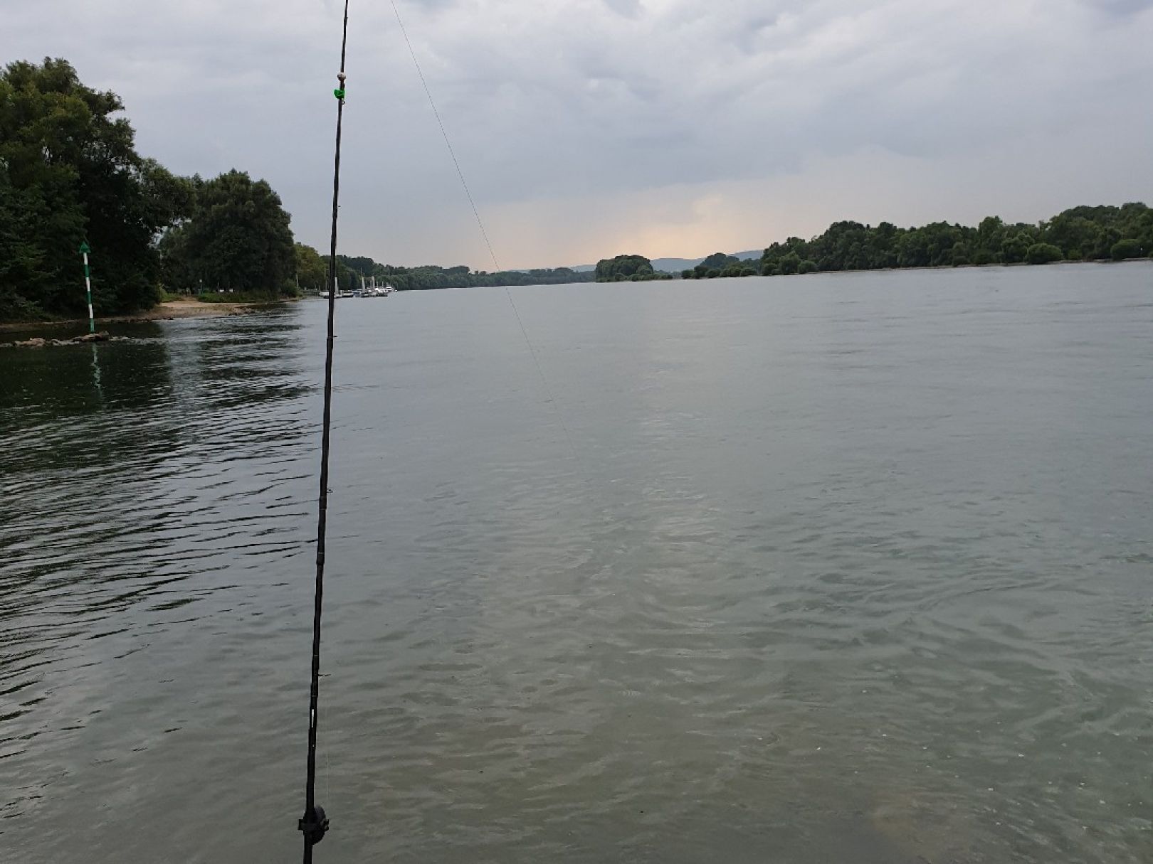 Rhein (Eltville/Heidesheim) angeln