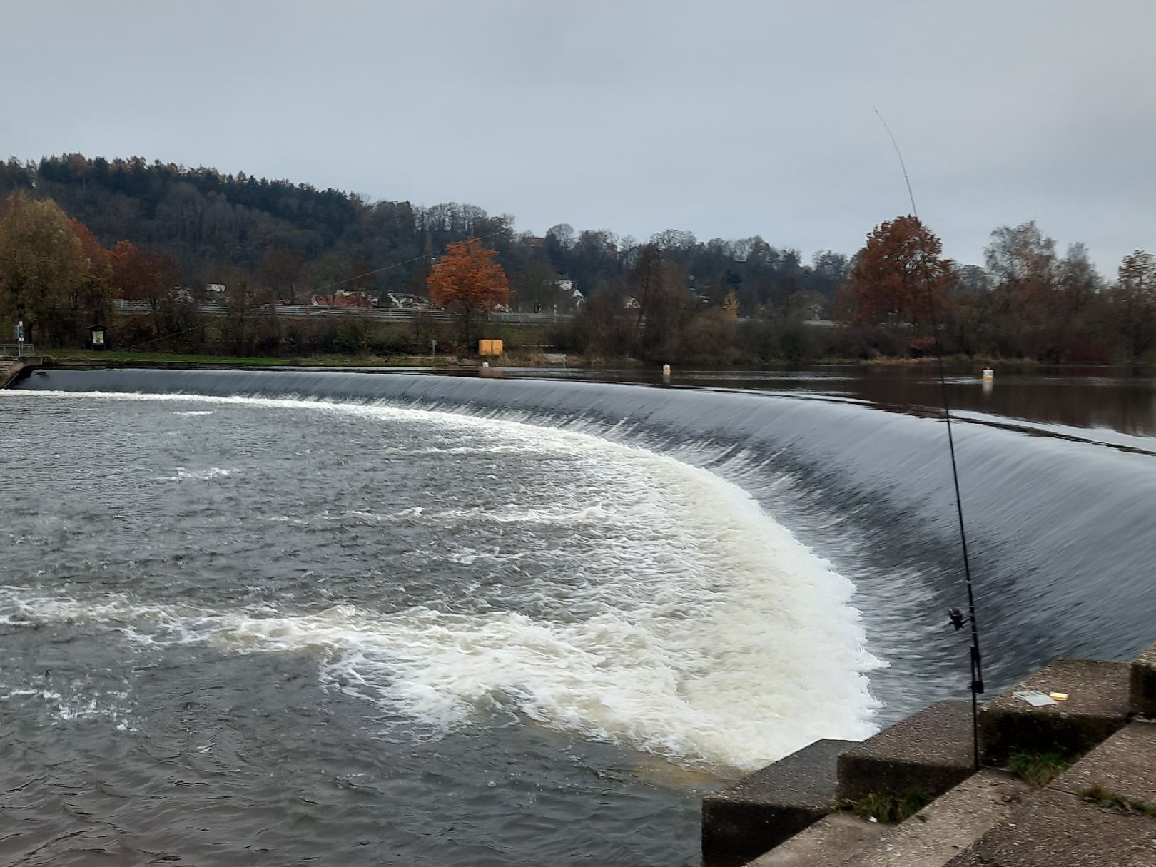 Regen (Zeitlarn) angeln