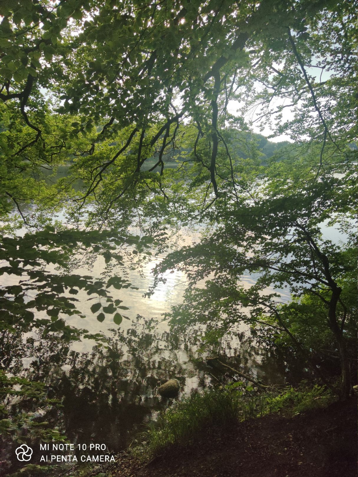 Wendelstorfer See angeln