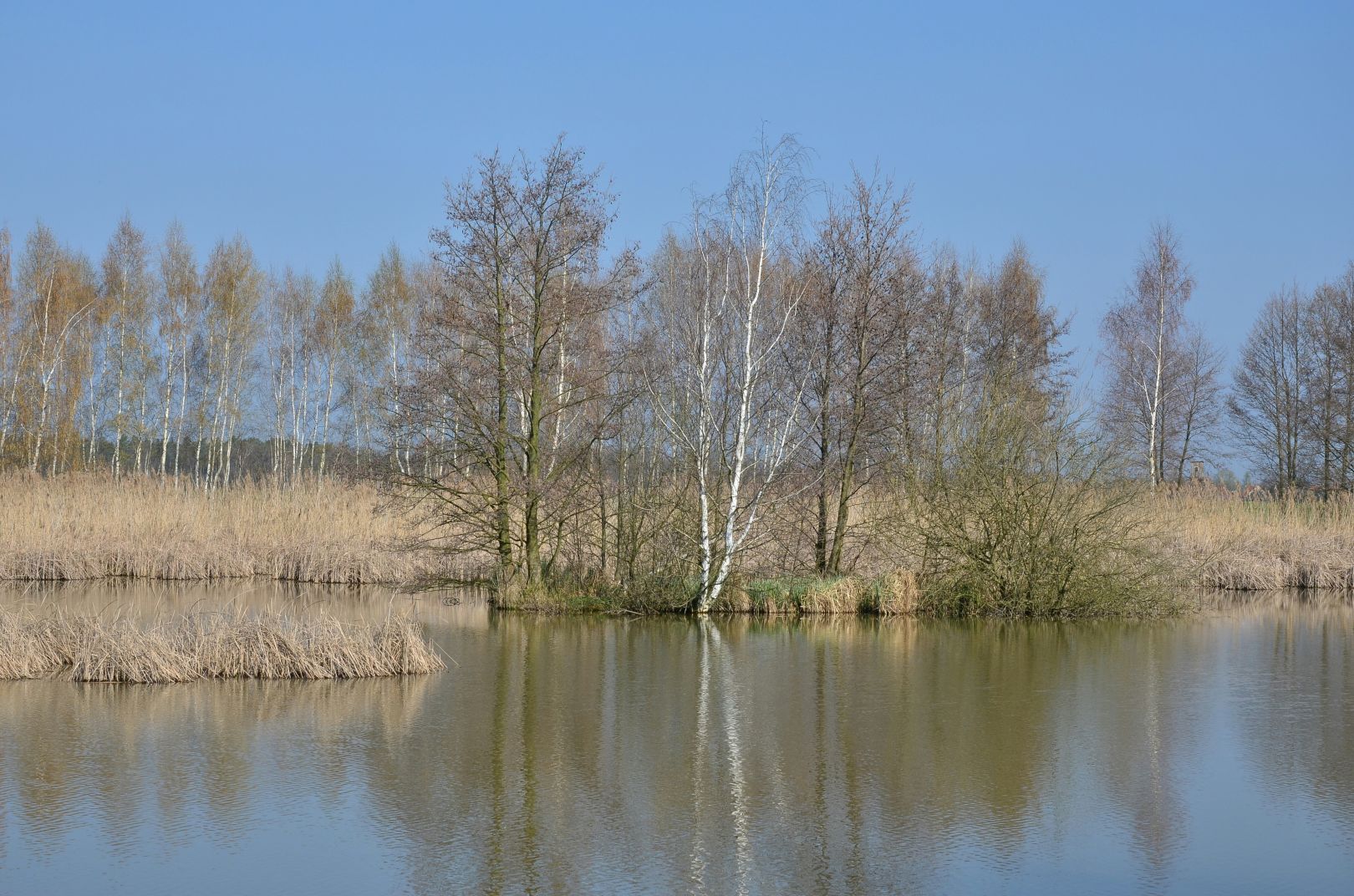 Torfstich Koßwig angeln