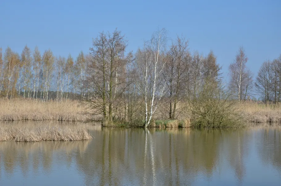 Torfstich Koßwig angeln