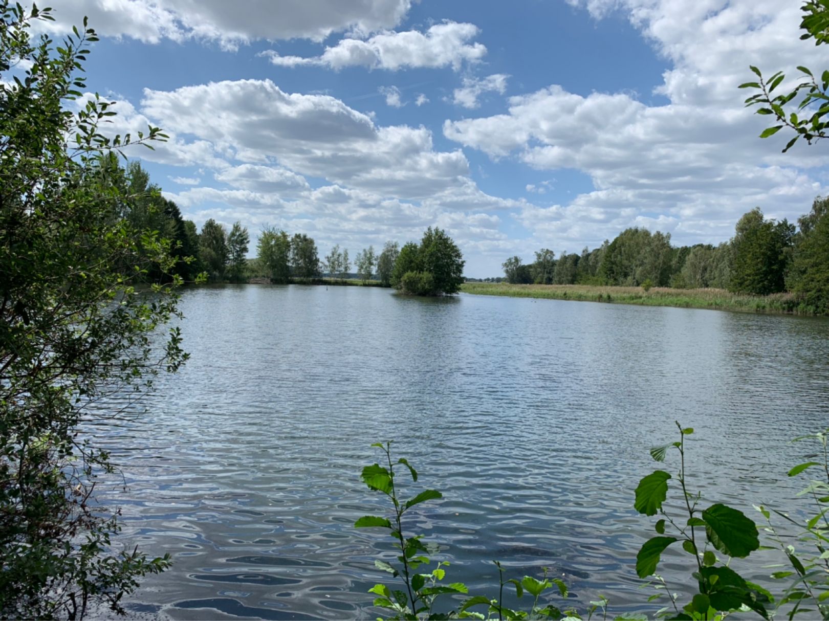 Torfstich Koßwig angeln