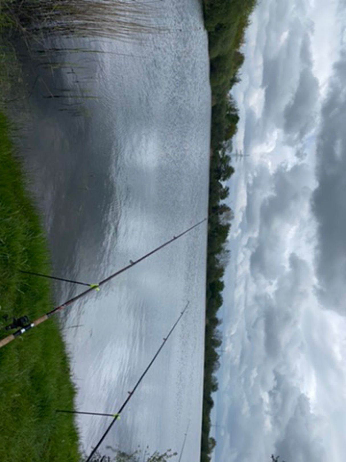 Steinsee (Lürschau) angeln