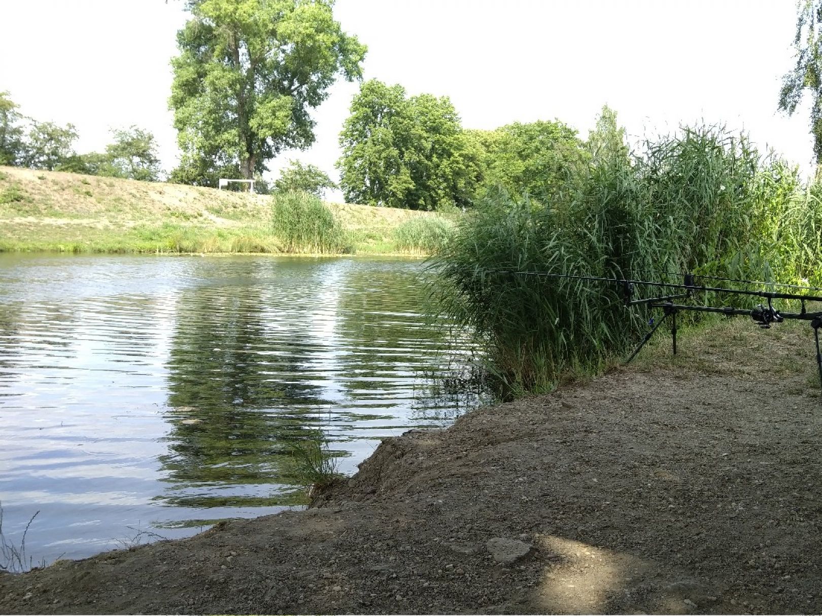 Saale-Leipzig-Kanal (Dölzig) angeln